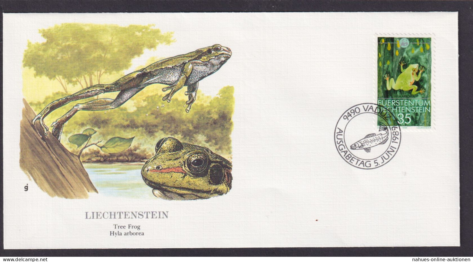 Liechtenstein Fauna Laubfrosch Schöner Künstler Brief - Lettres & Documents