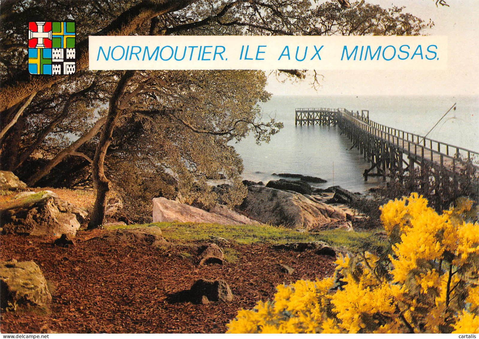 85-NOIRMOUTIER-N°3824-D/0129 - Noirmoutier