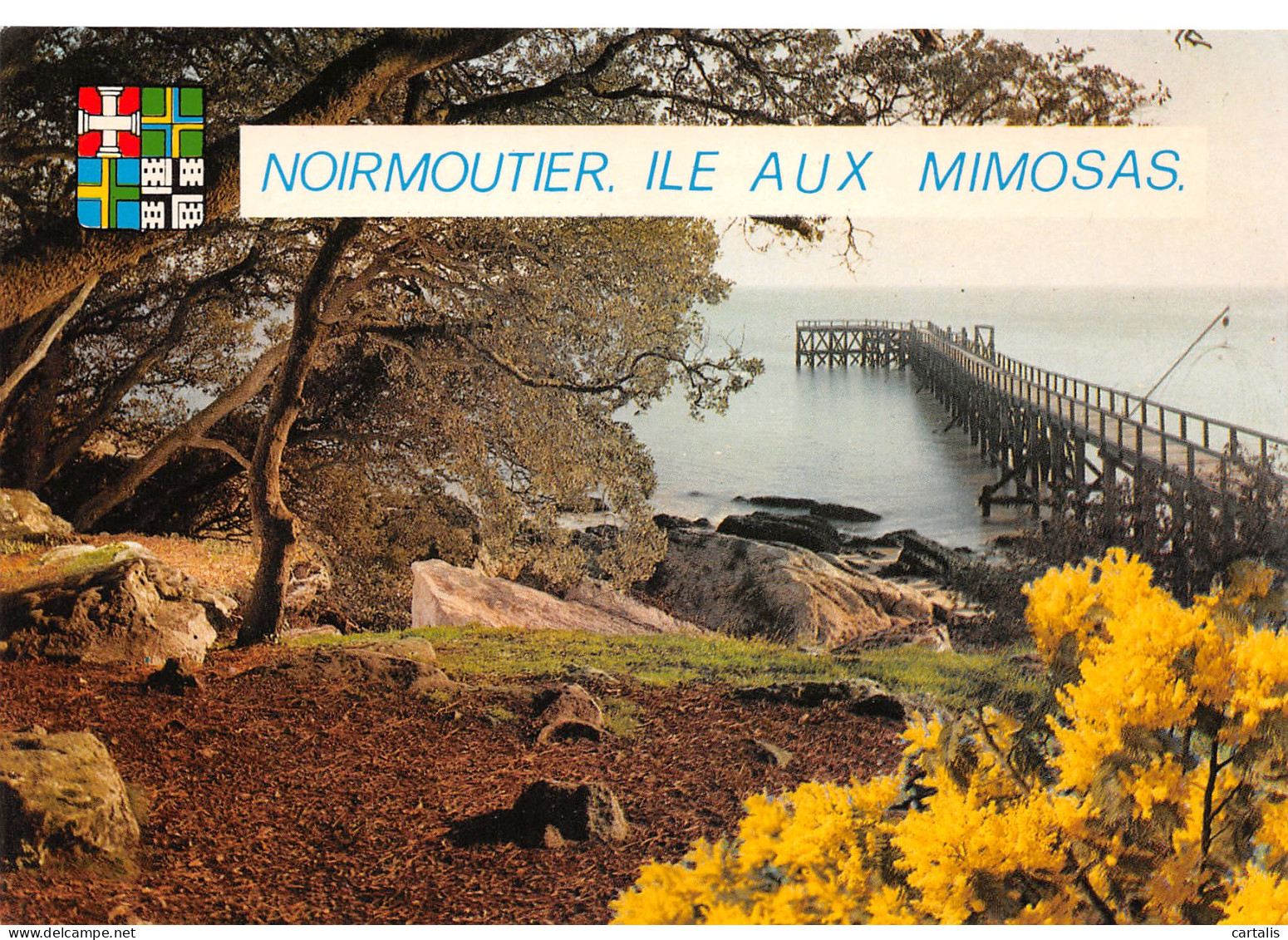 85-NOIRMOUTIER-N°3824-D/0091 - Noirmoutier