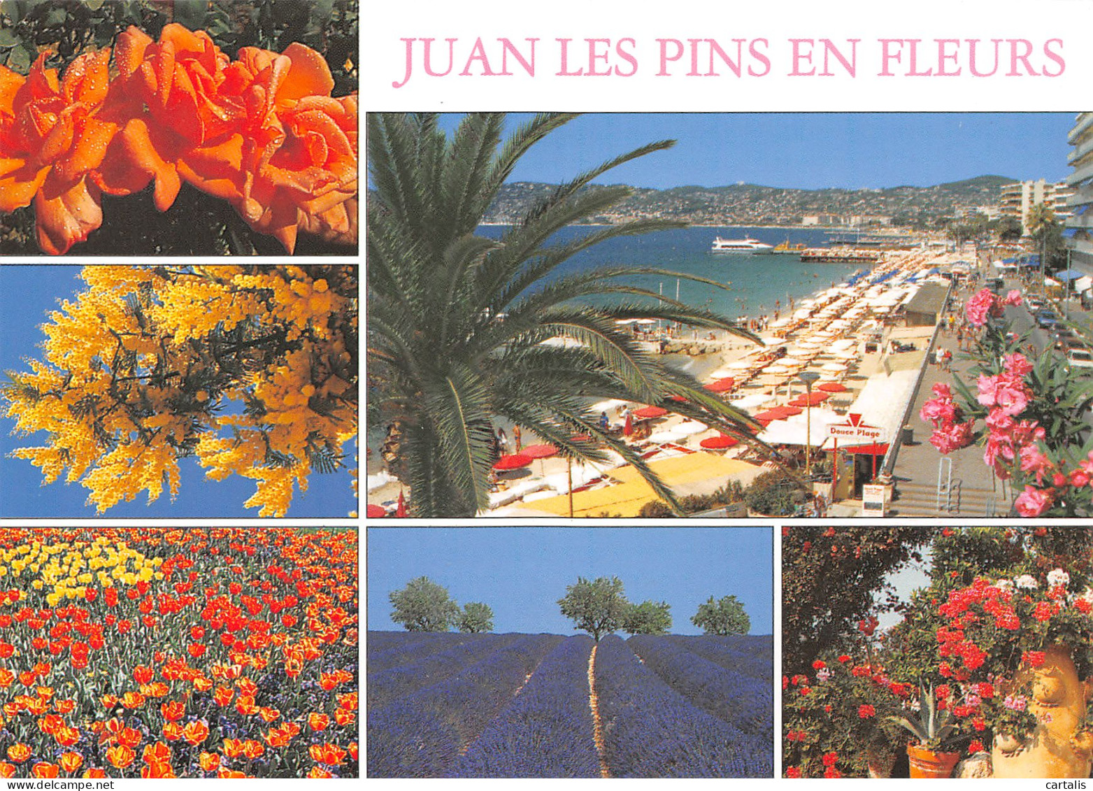 06-JUAN LES PINS-N°3824-D/0003 - Juan-les-Pins