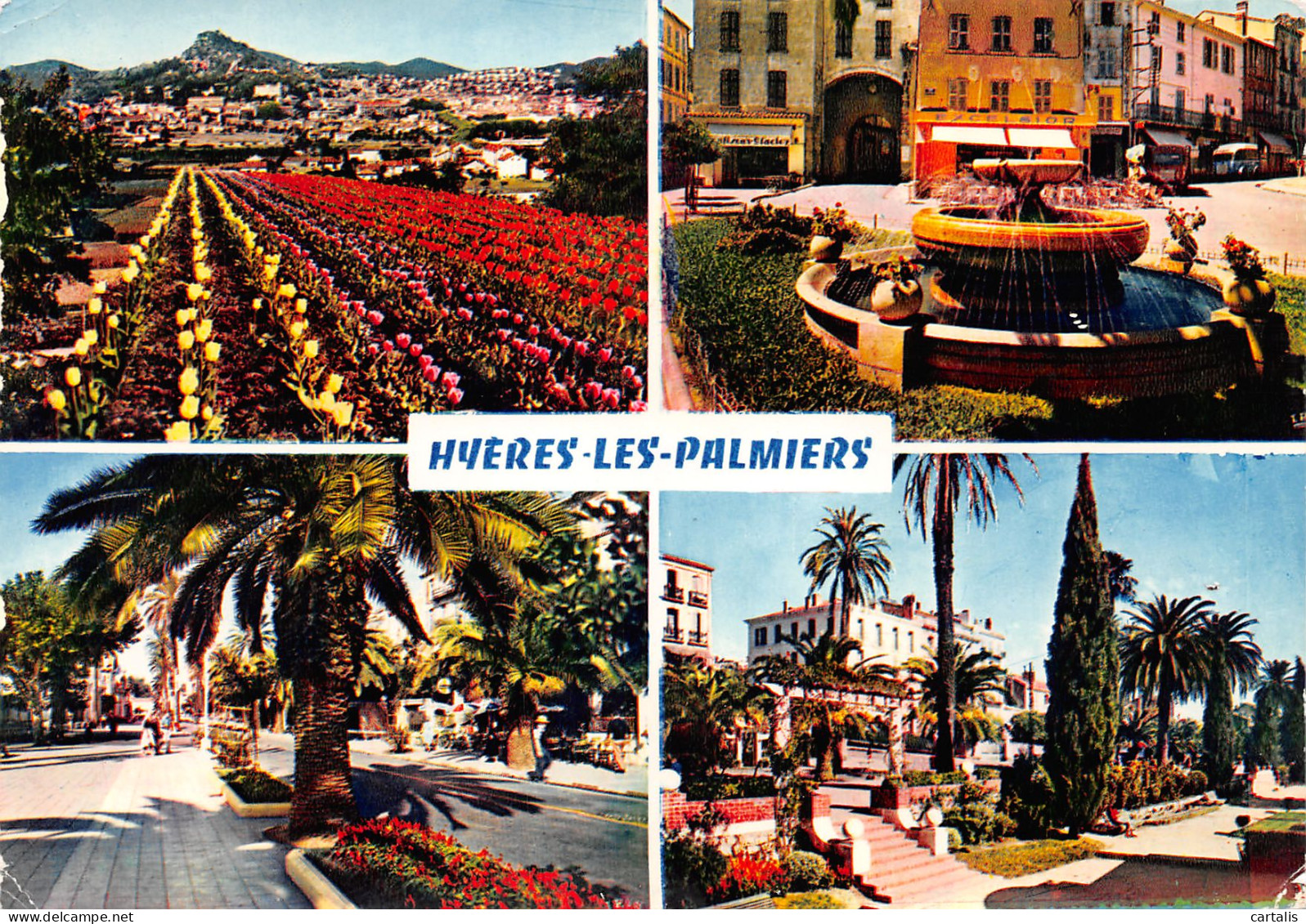 83-HYERES LES PALMIERS-N°3824-C/0395 - Hyeres