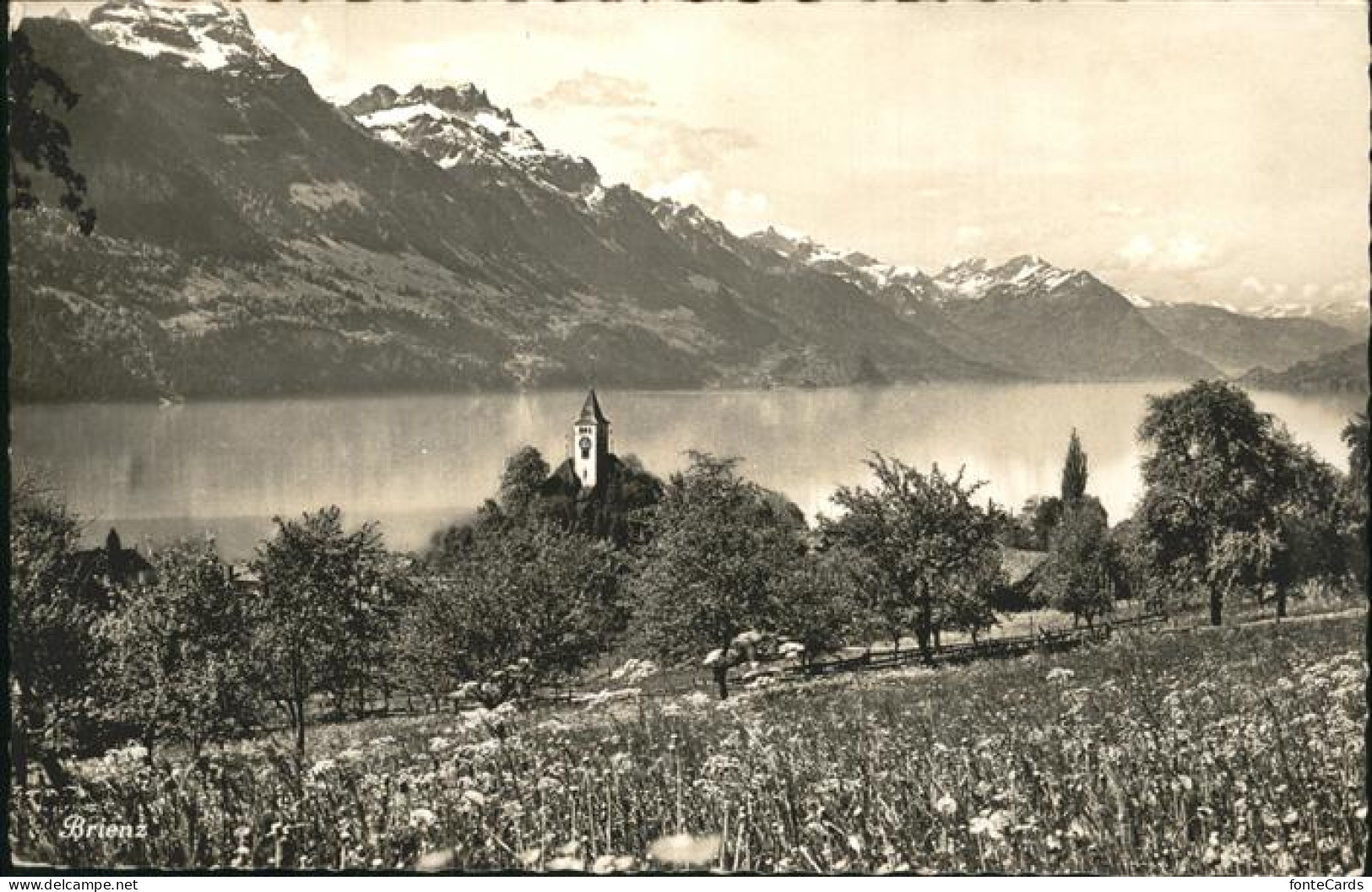 11337271 Brienz BE Partie Am Brienzersee Brienz - Andere & Zonder Classificatie