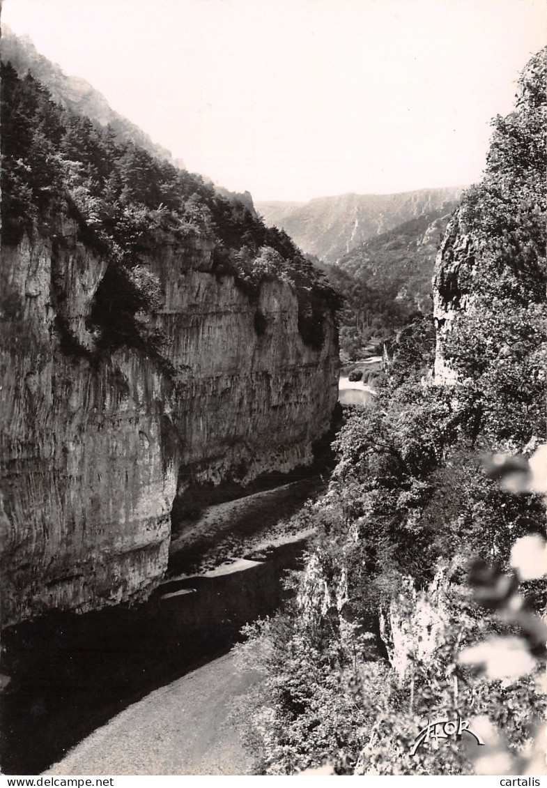 48-LES GORGES DU TARN-N°3825-C/0233 - Autres & Non Classés