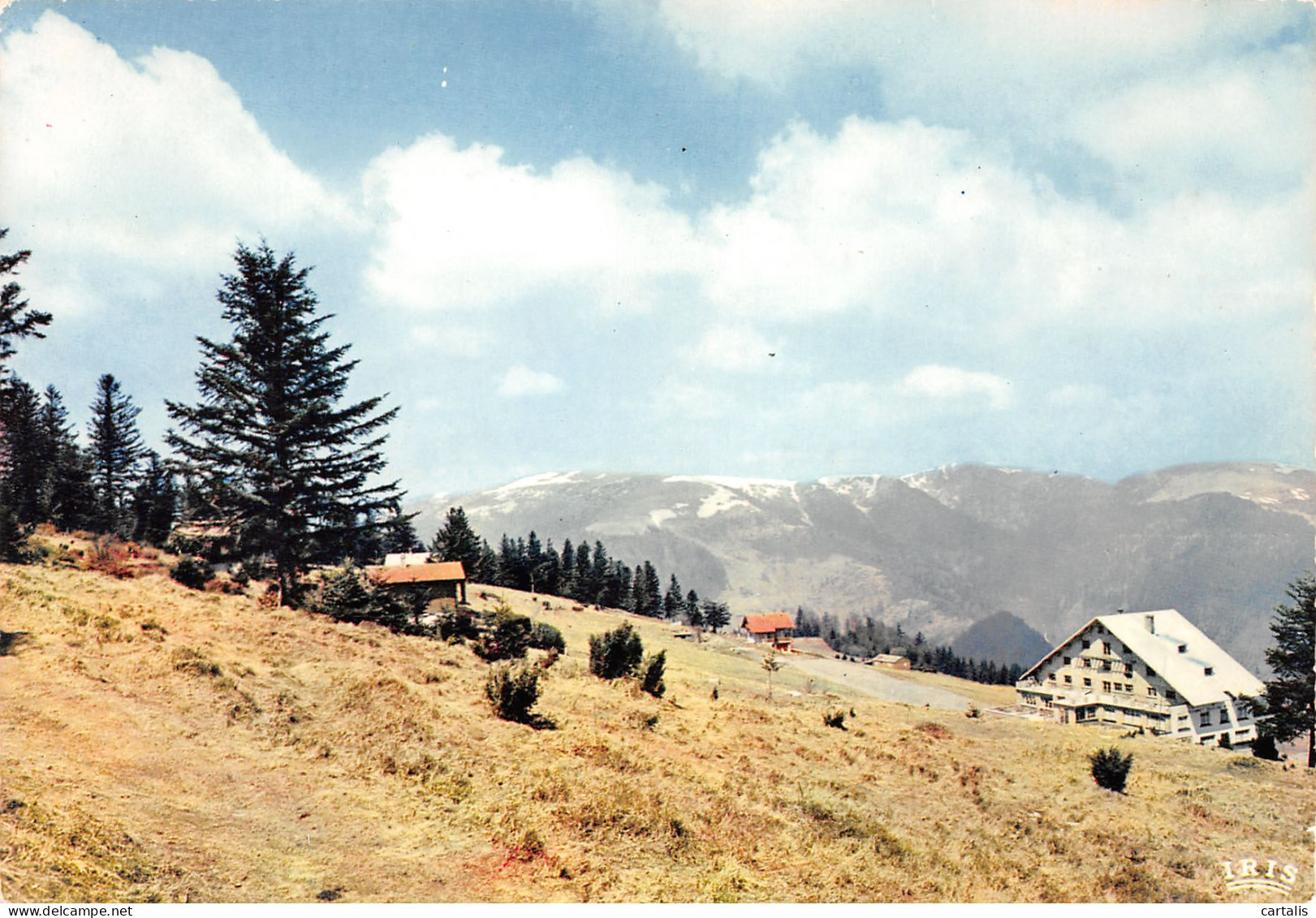 68-LE SCHNEPFENRIED ET LE MASSIF DU HOHNECK-N°3825-C/0071 - Otros & Sin Clasificación