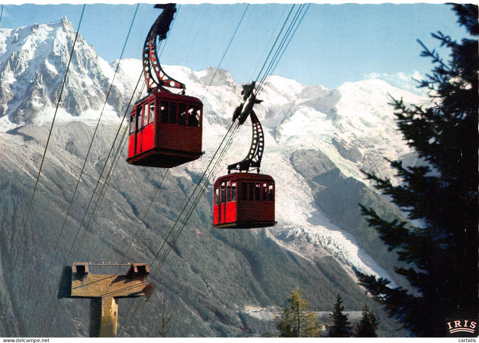 74-CHAMONIX MONT BLANC-N°3825-B/0221 - Chamonix-Mont-Blanc