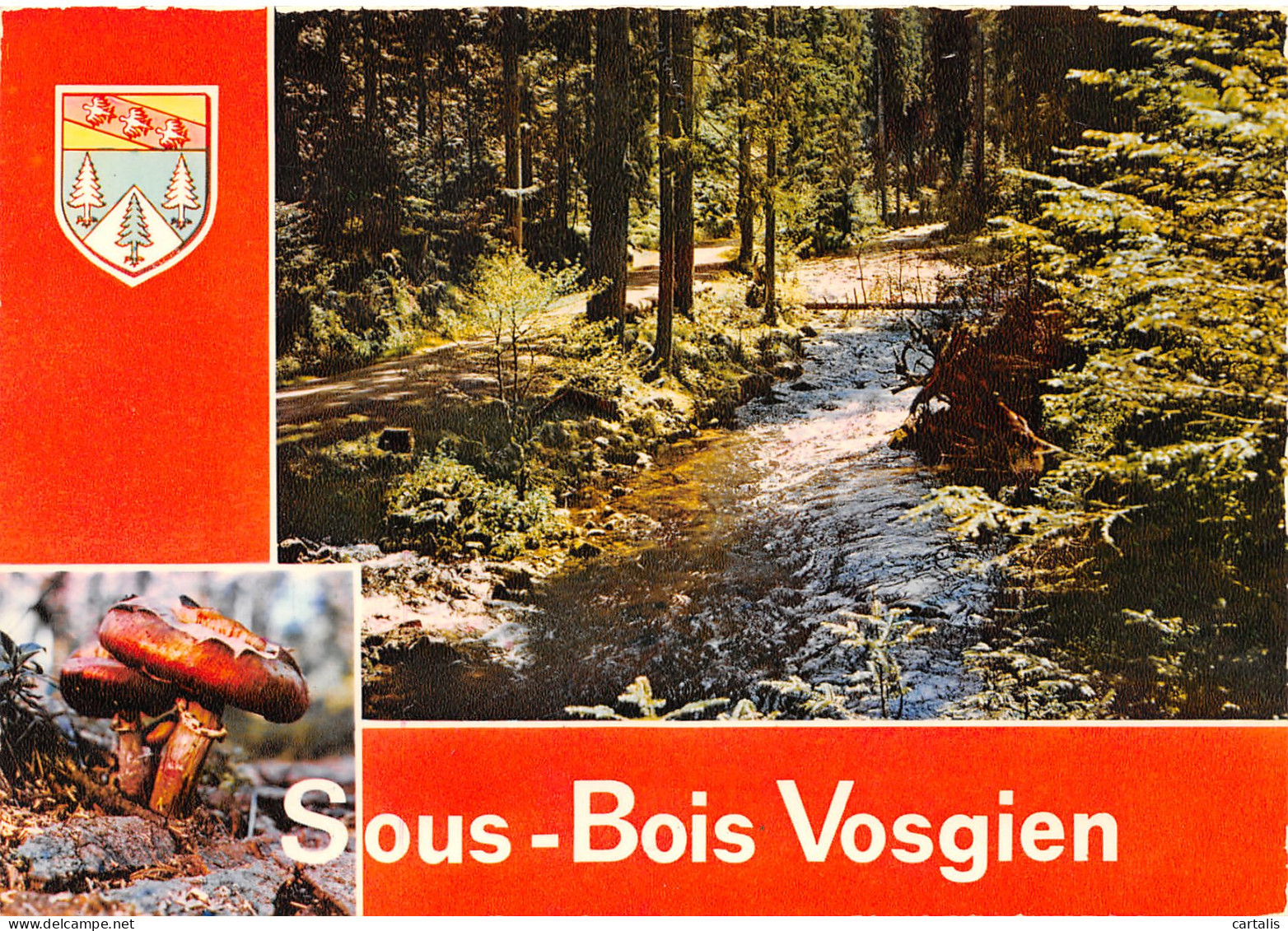 88-SOUS BOIS VOSGIEN-N°3825-B/0061 - Other & Unclassified