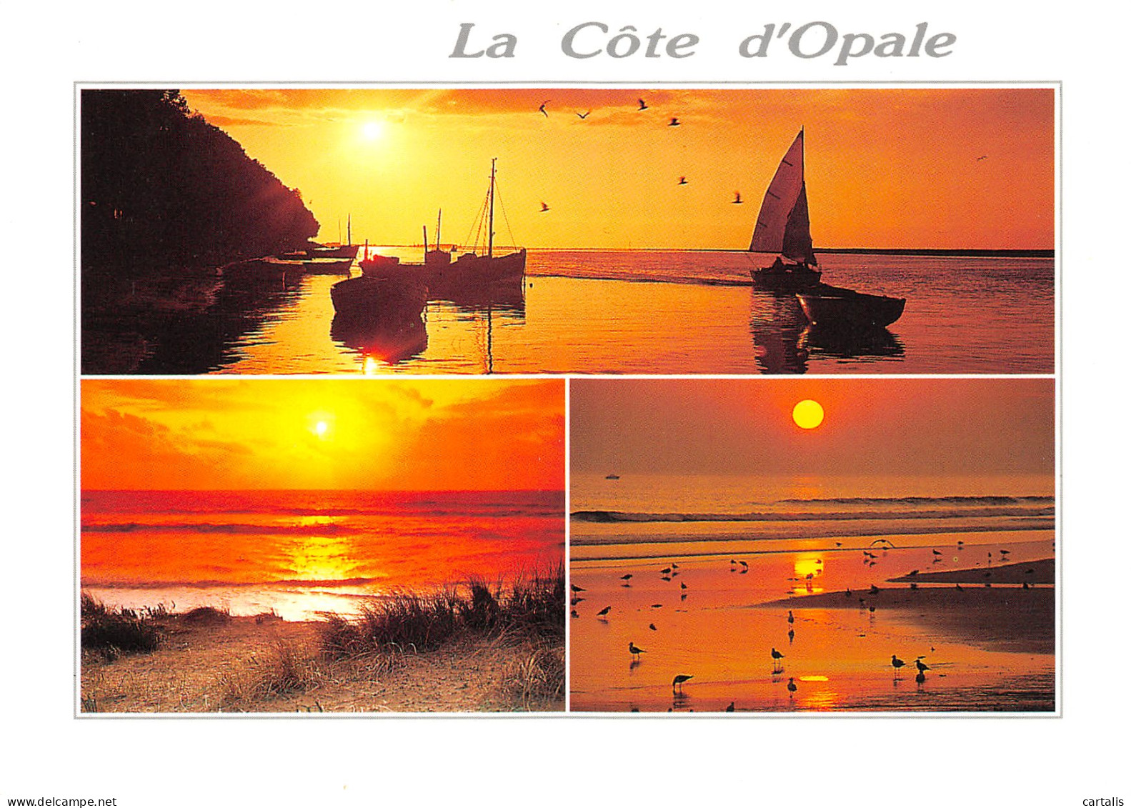 62-LA COTE D OPALE PAYSAGES DE MER-N°3826-A/0147 - Autres & Non Classés