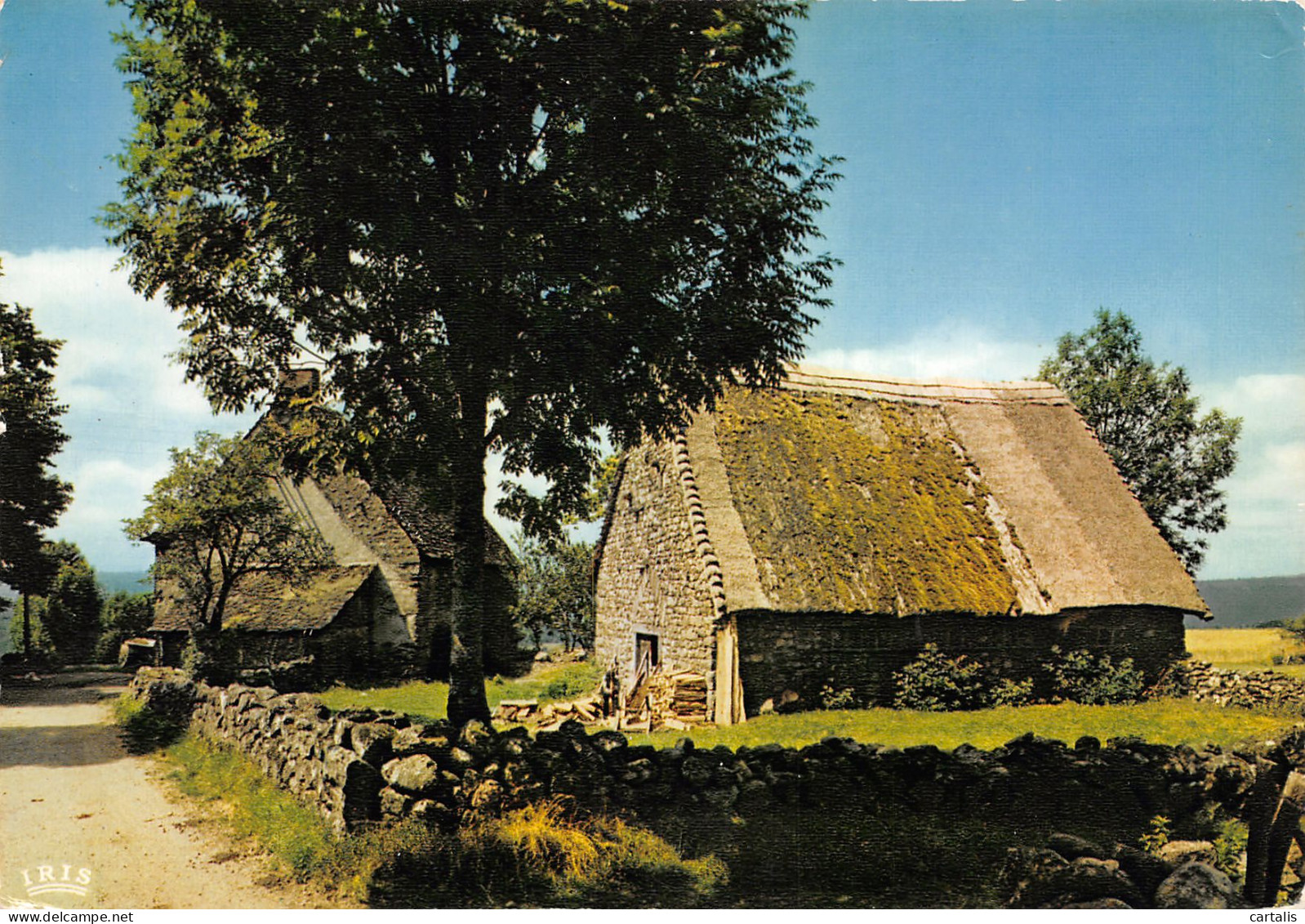 15-LE CANTAL PAYSAGE-N°3826-A/0163 - Sonstige & Ohne Zuordnung