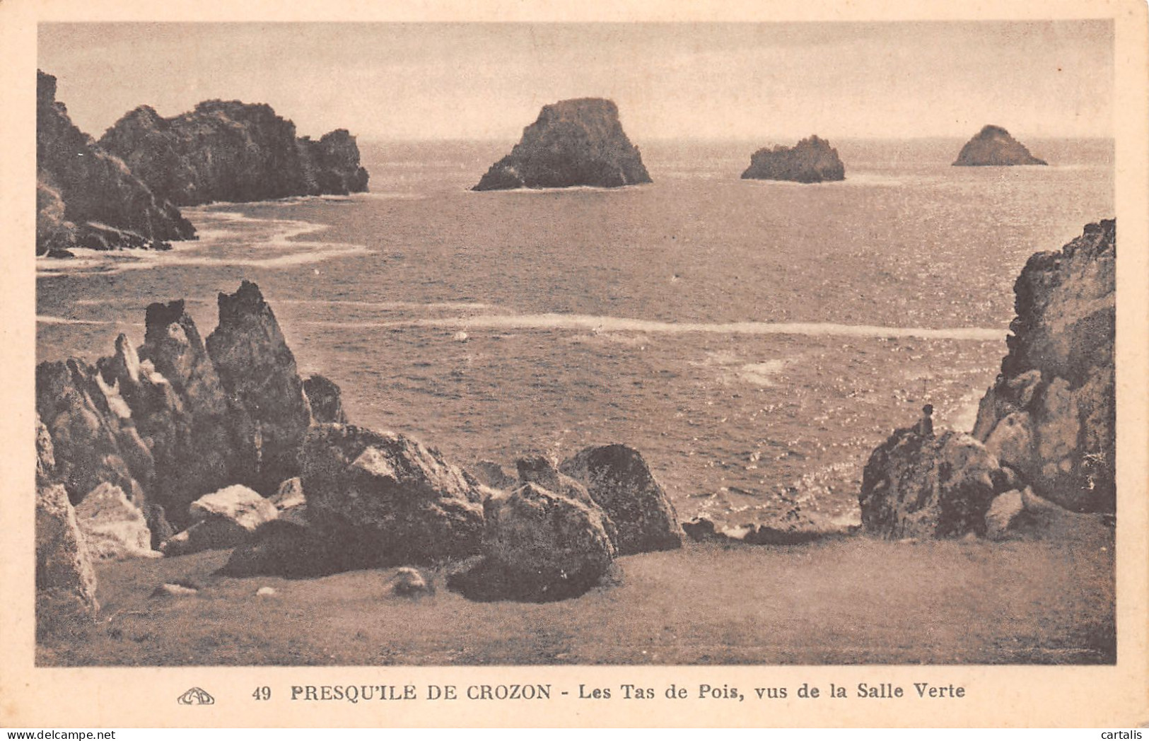 29-CROZON-N°3825-E/0193 - Crozon