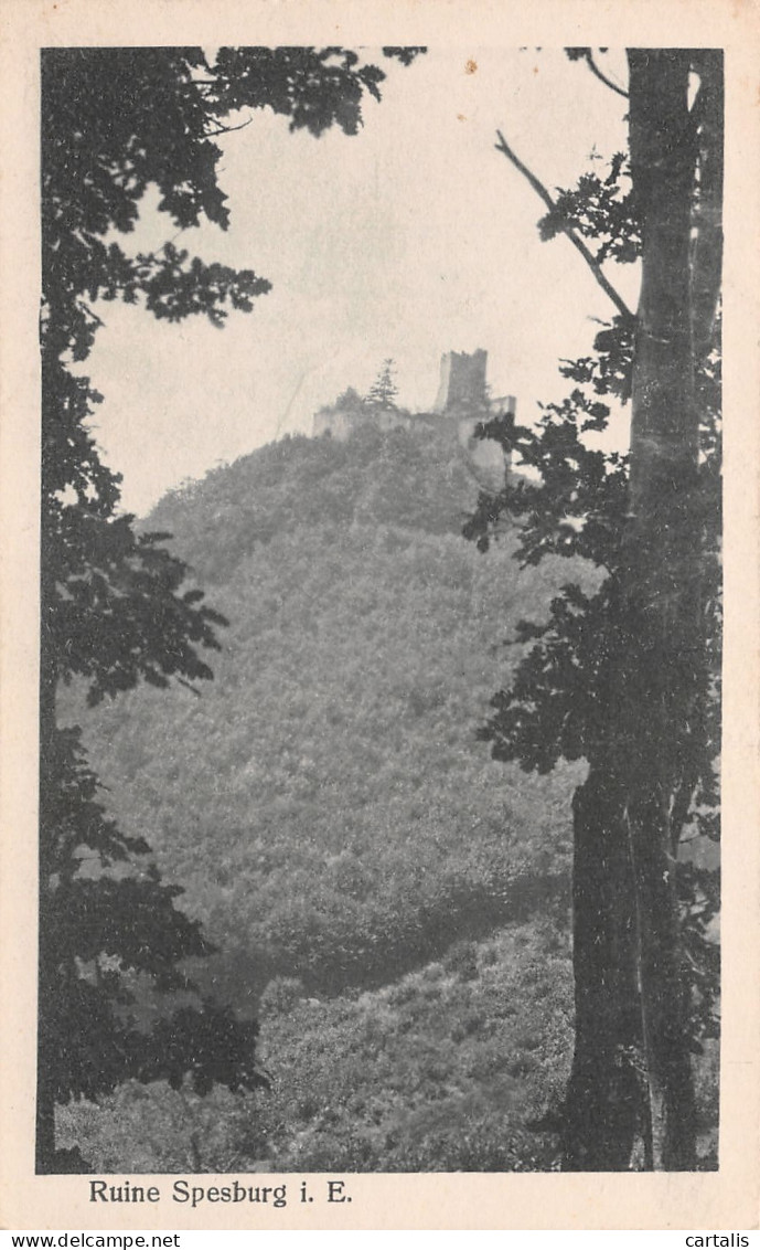 67-RUINE SPESBURG-N°3825-E/0177 - Sonstige & Ohne Zuordnung