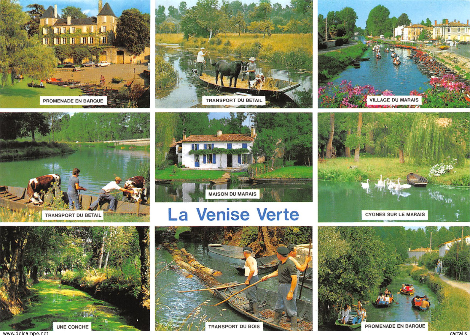 79-LE MARAIS POITEVIN-N°3825-D/0385 - Sonstige & Ohne Zuordnung