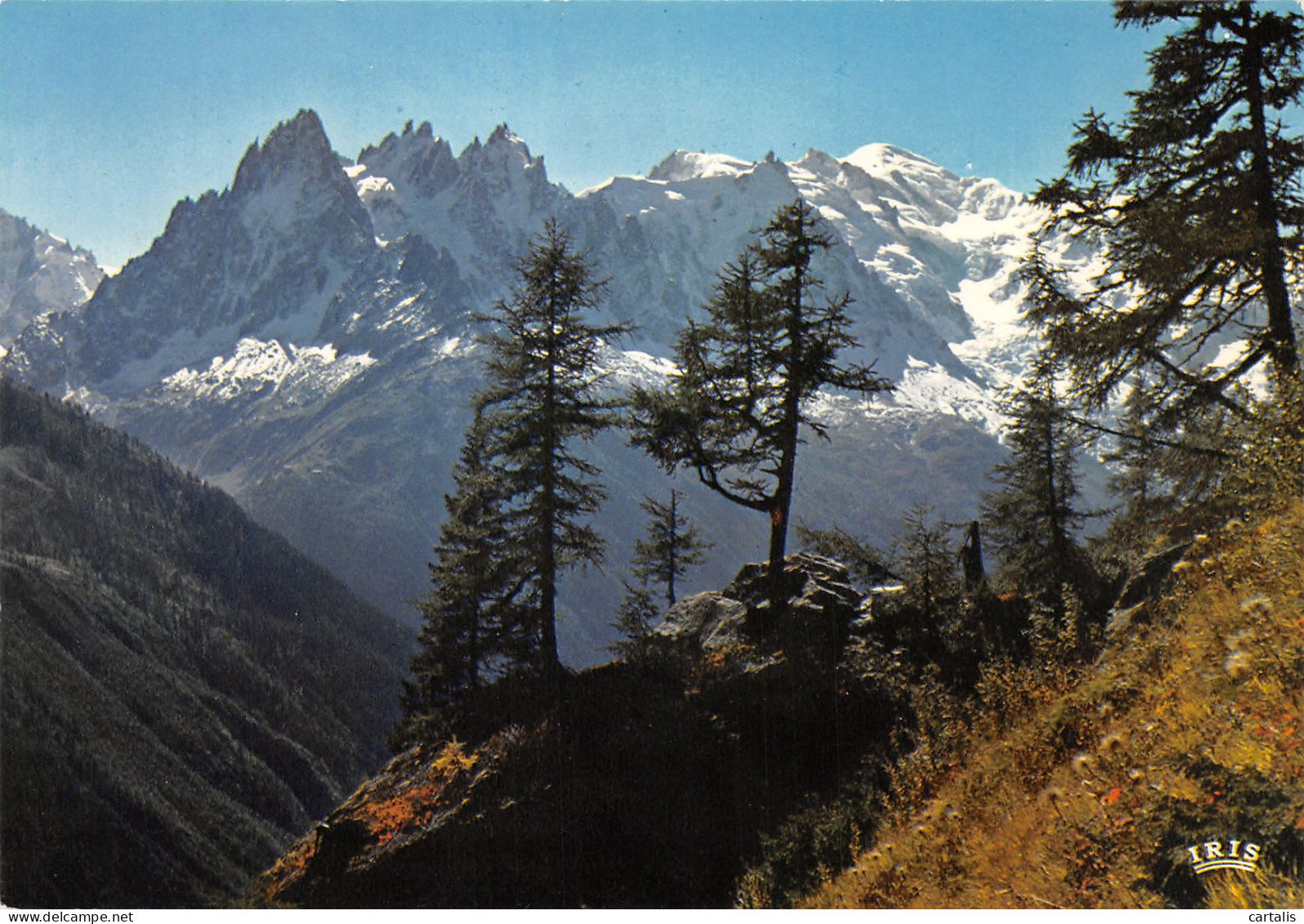 74-CHAMONIX MONT BLANC-N°3825-D/0351 - Chamonix-Mont-Blanc