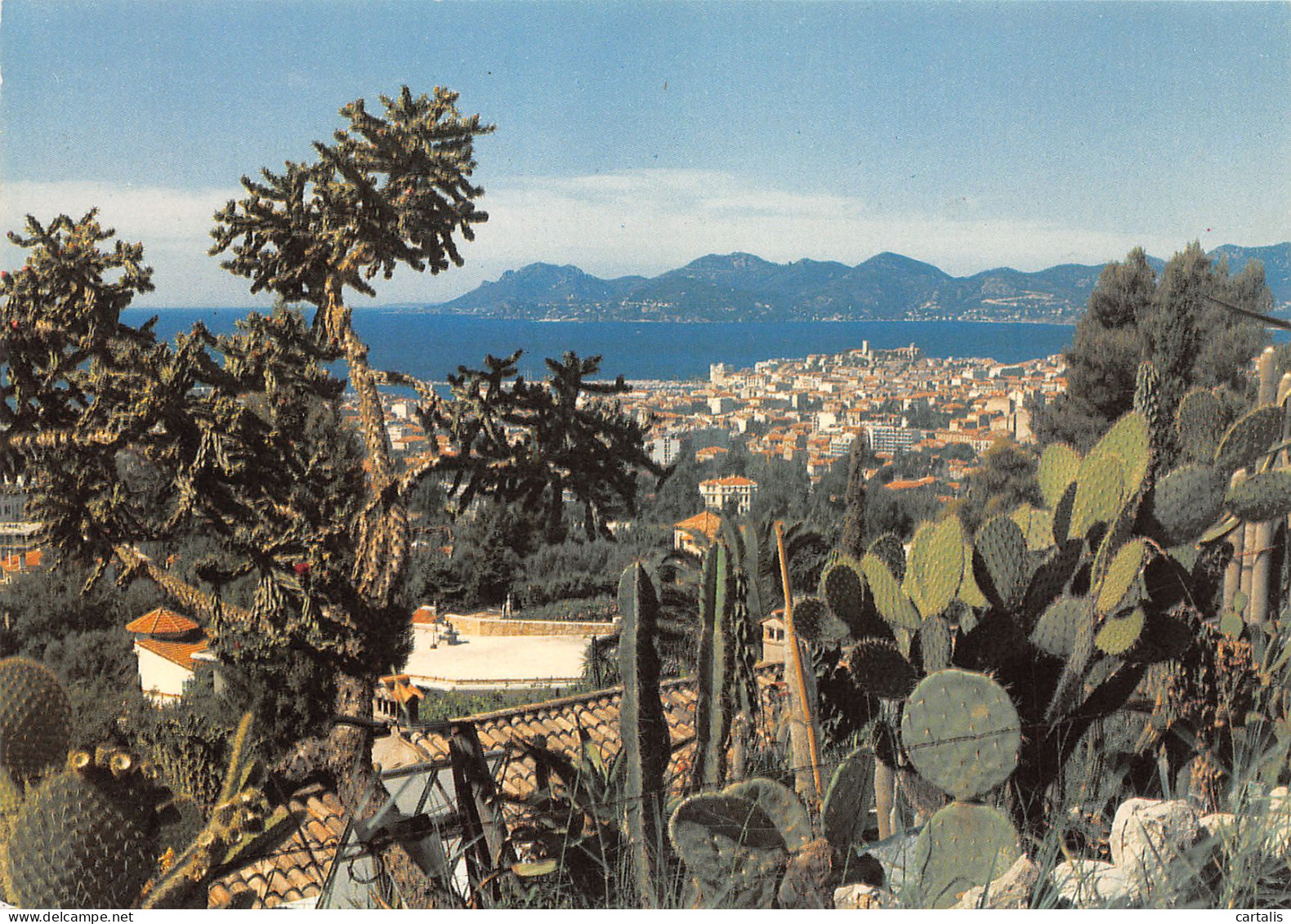 06-CANNES-N°3825-D/0097 - Cannes