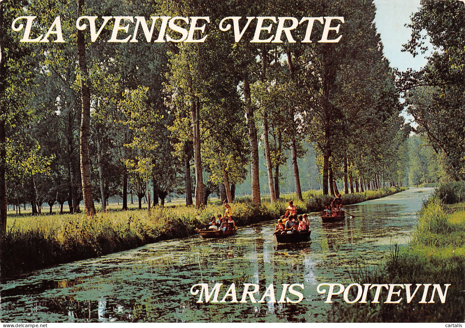 79-LA VENISE VERTE-N°3826-C/0381 - Andere & Zonder Classificatie