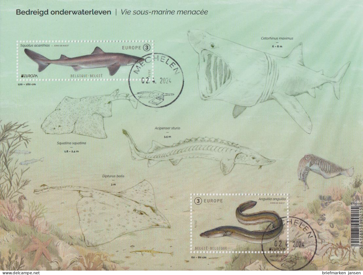 Belgien MiNr. (noch Nicht Im Michel) Europa 2024 Unterwasserfauna/-flora (Block) - Altri & Non Classificati