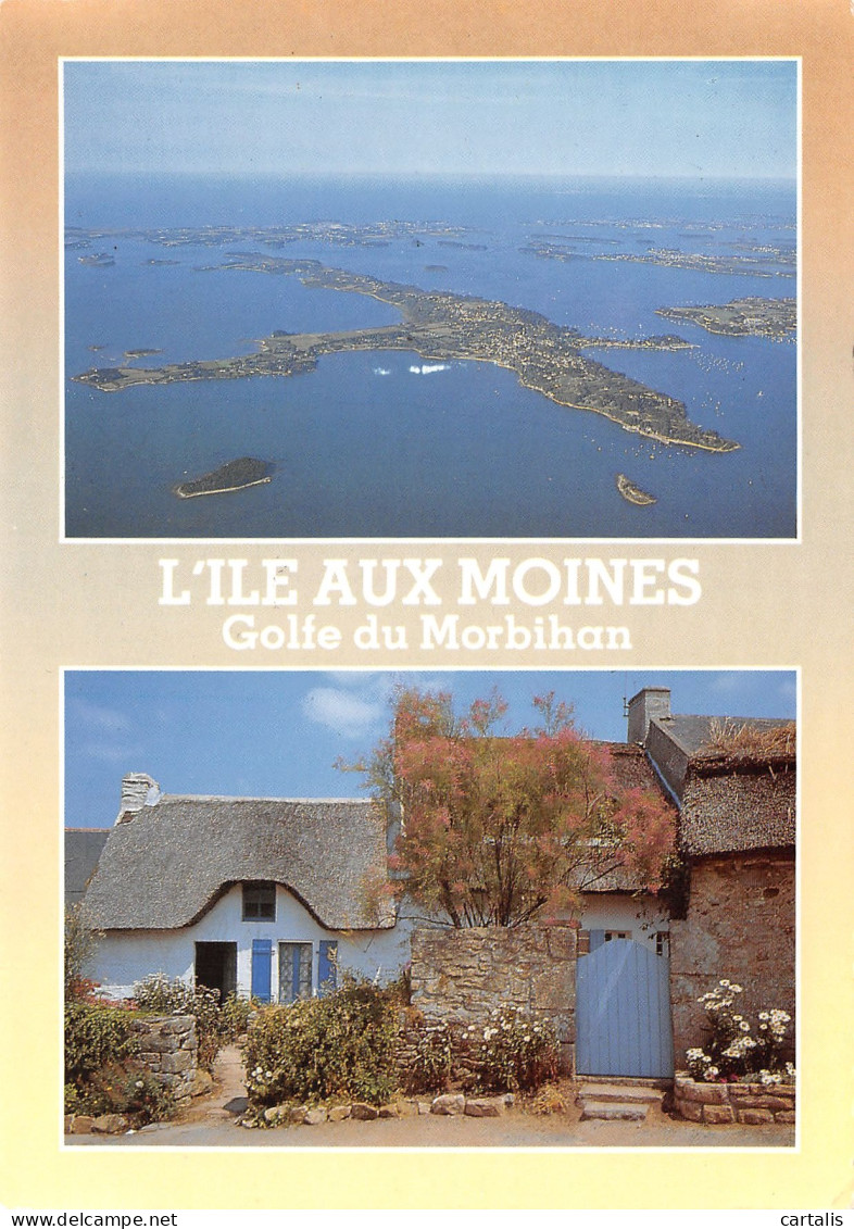 56-L ILE AUX MOINES-N°3826-B/0253 - Autres & Non Classés