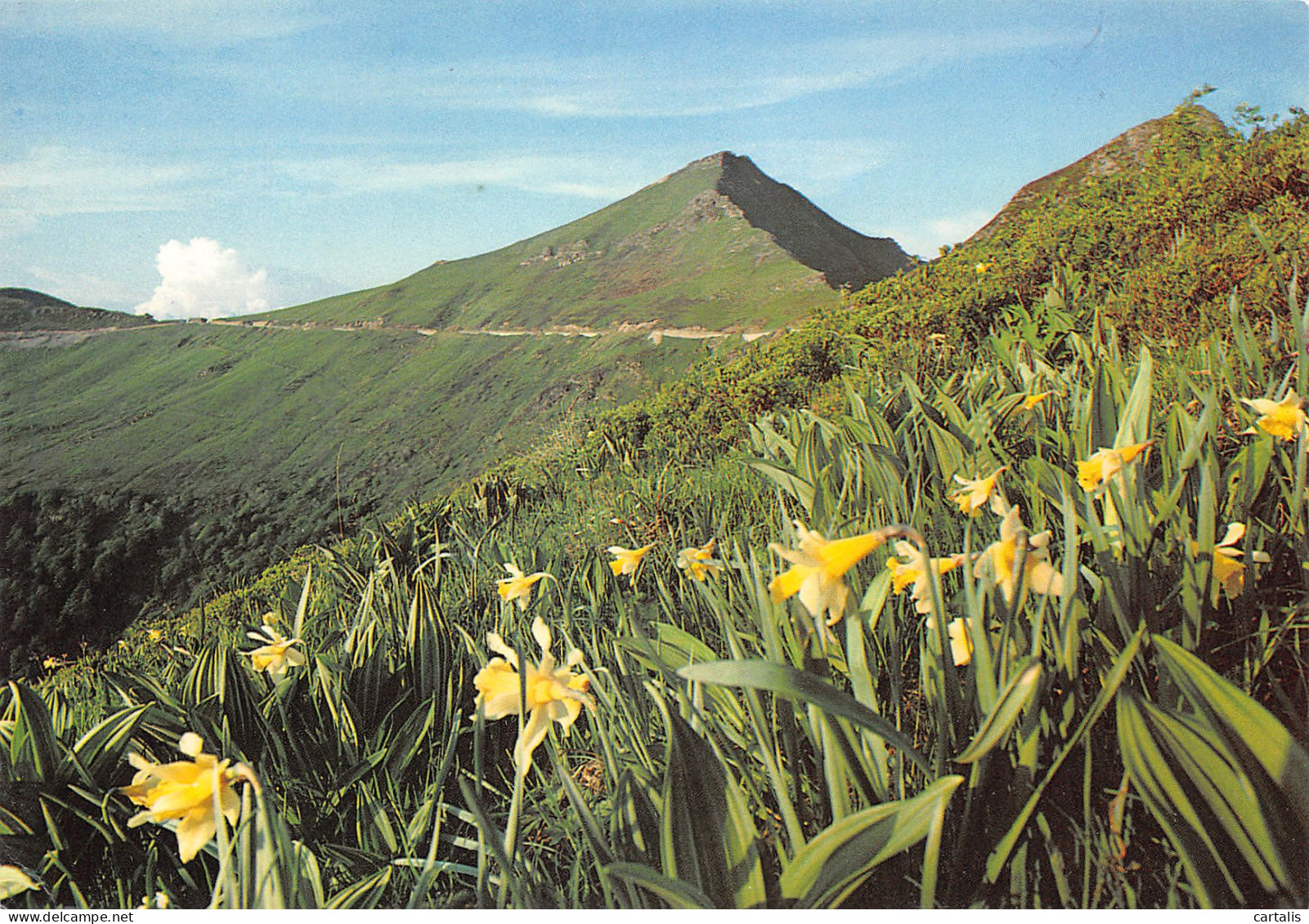 15-LE PUY MARY-N°3826-A/0251 - Sonstige & Ohne Zuordnung