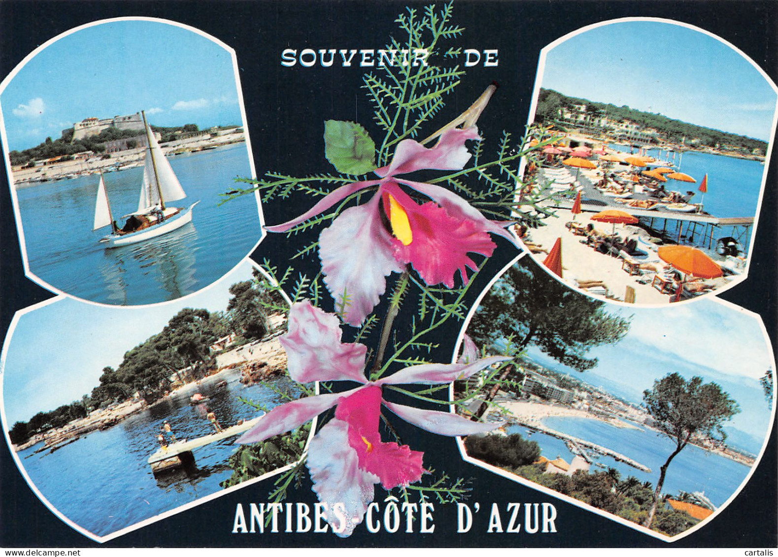 06-ANTIBES-N°3827-A/0127 - Andere & Zonder Classificatie