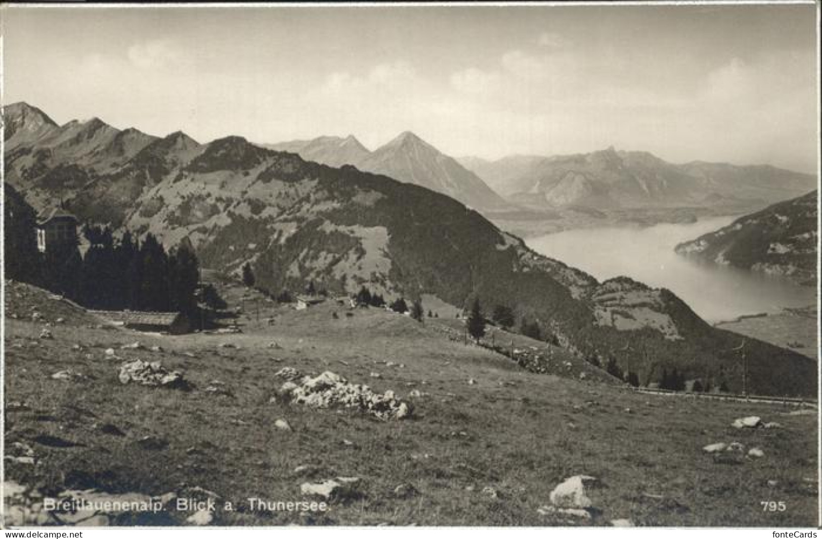 11337183 Breitlauenenalp Blick Auf Den Thuner See Breitlauenenalp - Andere & Zonder Classificatie