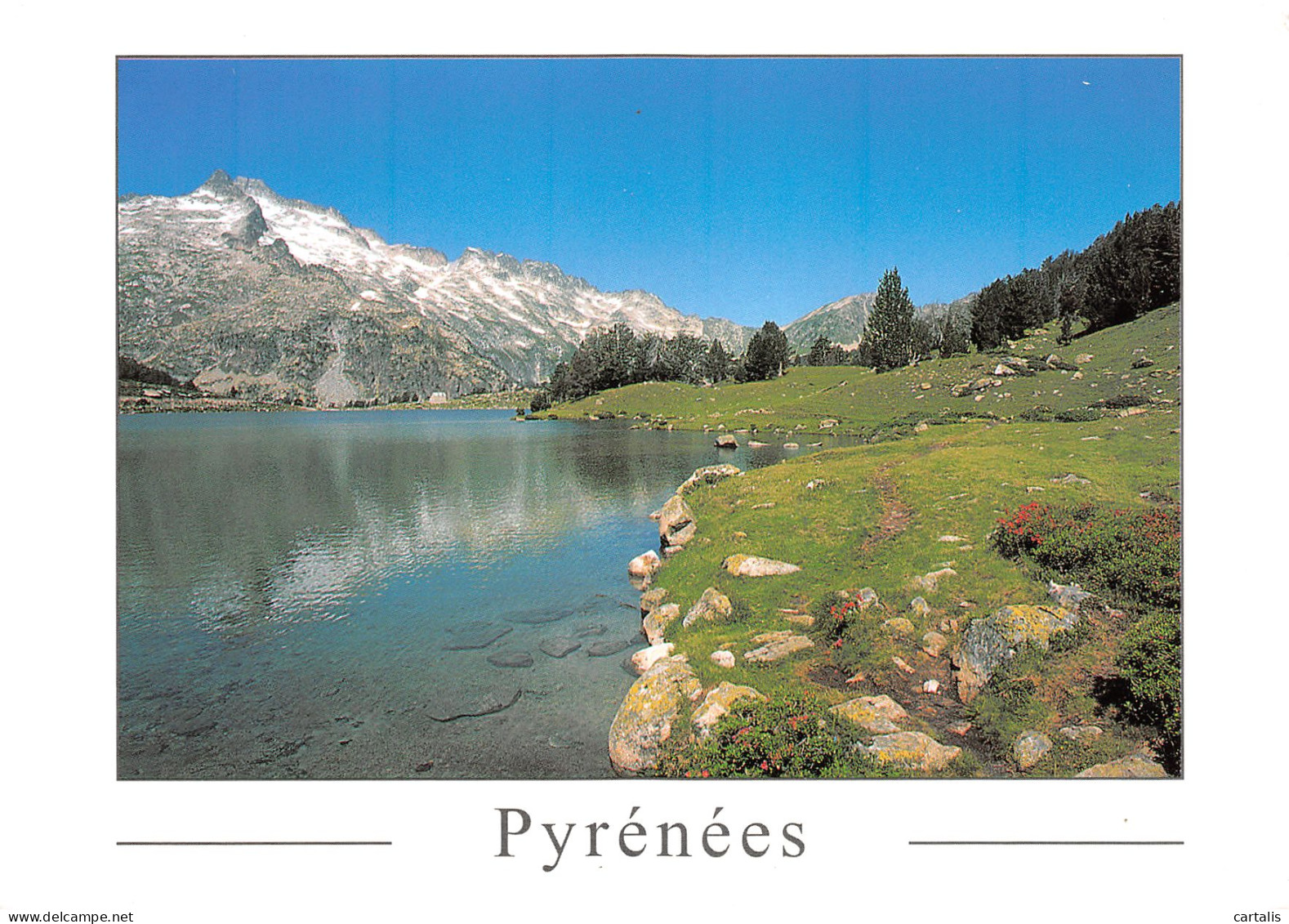 66-LES PYRENEES PAYSAGE-N°3826-D/0349 - Other & Unclassified