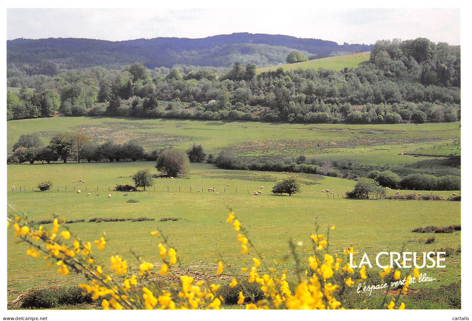 23-LA CREUSE PAYSAGE-N°3826-D/0317 - Autres & Non Classés