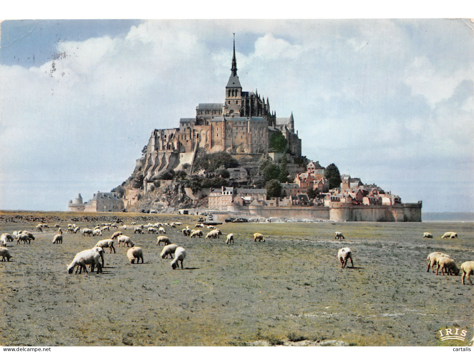 50-LE MONT SAINT MICHEL-N°3826-D/0169 - Le Mont Saint Michel