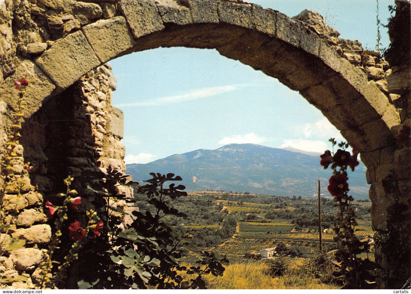 84-LE MONT VENTOUX-N°3826-D/0027 - Autres & Non Classés