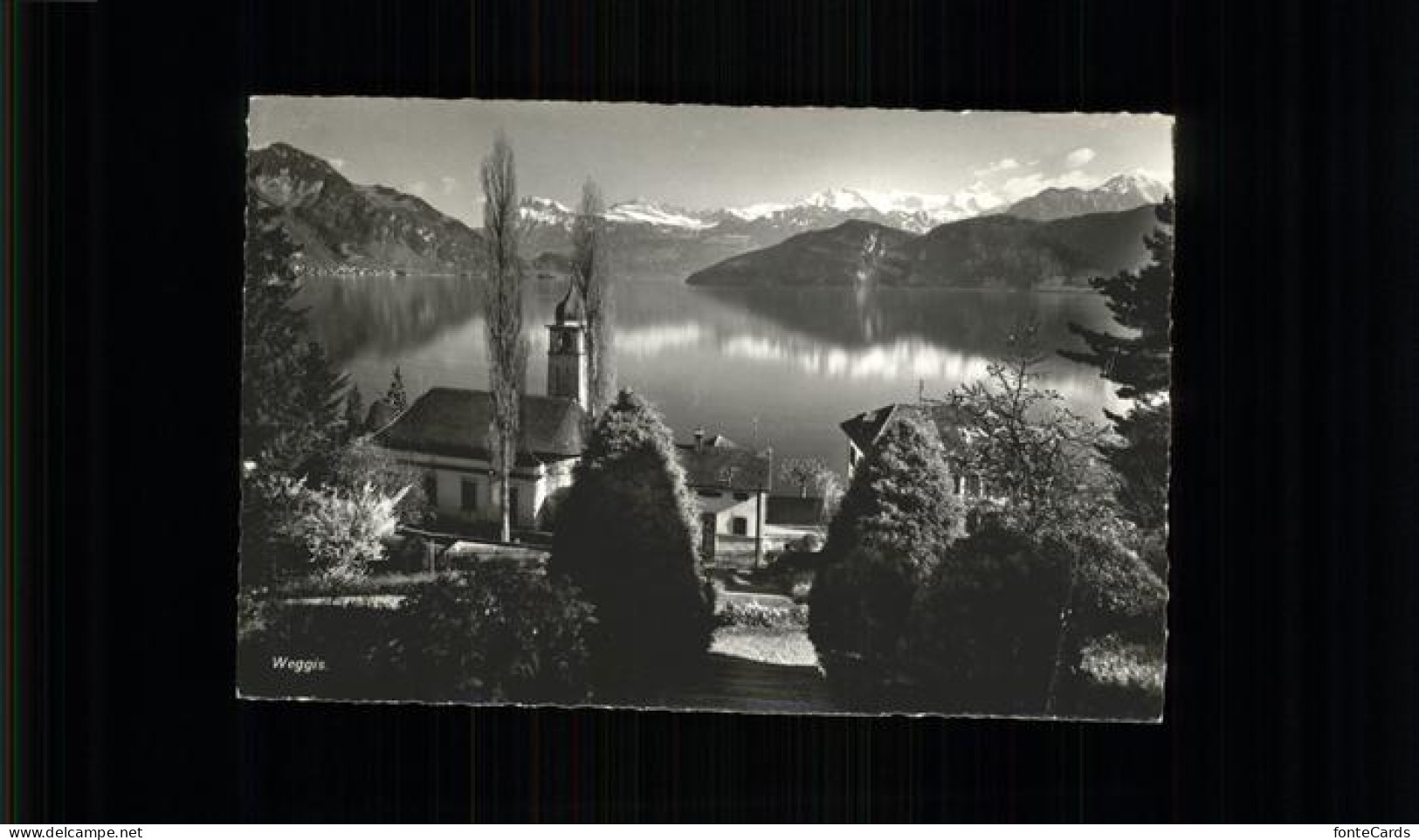 11337156 Weggis Vierwaldstaettersee Panorama Weggis - Andere & Zonder Classificatie