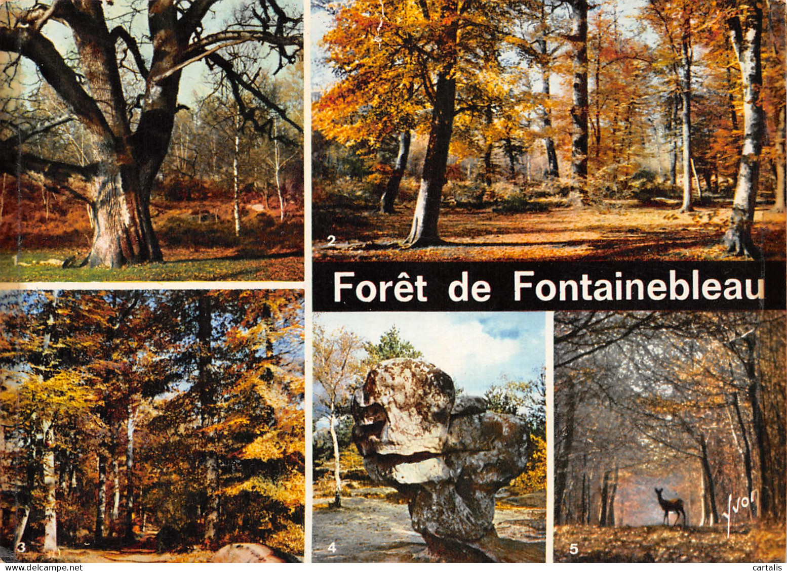 77-FONTAINEBLEAU-N°3827-B/0313 - Fontainebleau