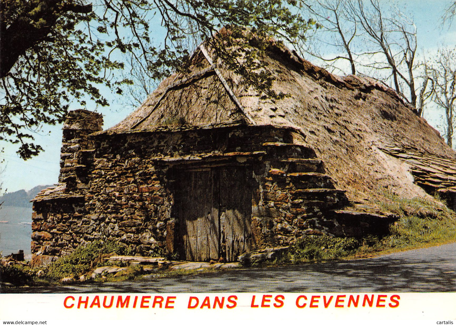 30-LES CEVENNES MAISON AU TOIT DE CHAUME-N°3827-B/0115 - Andere & Zonder Classificatie