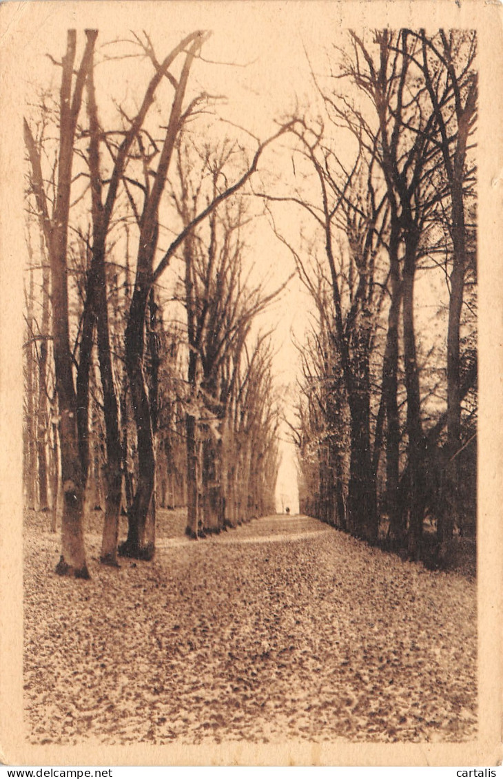 77-GRANDE ALLEE DU DOLIUM-N°3827-E/0069 - Sonstige & Ohne Zuordnung