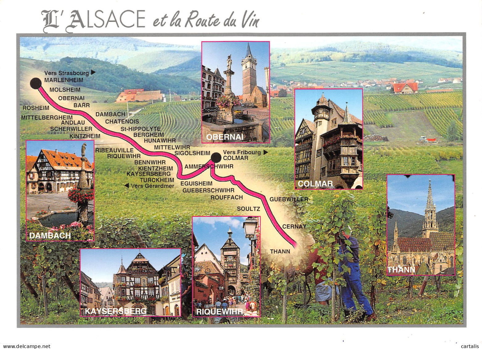 67-ALSACE MULTI VUES-N°3828-C/0243 - Andere & Zonder Classificatie