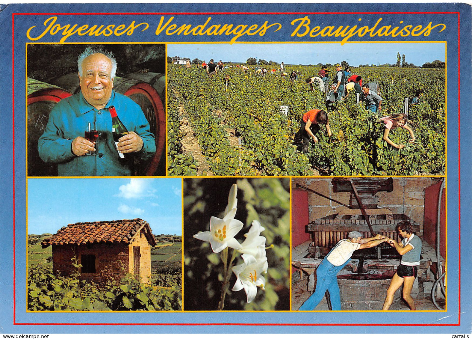 69-BEAUJOLAIS-N°3828-C/0171 - Andere & Zonder Classificatie