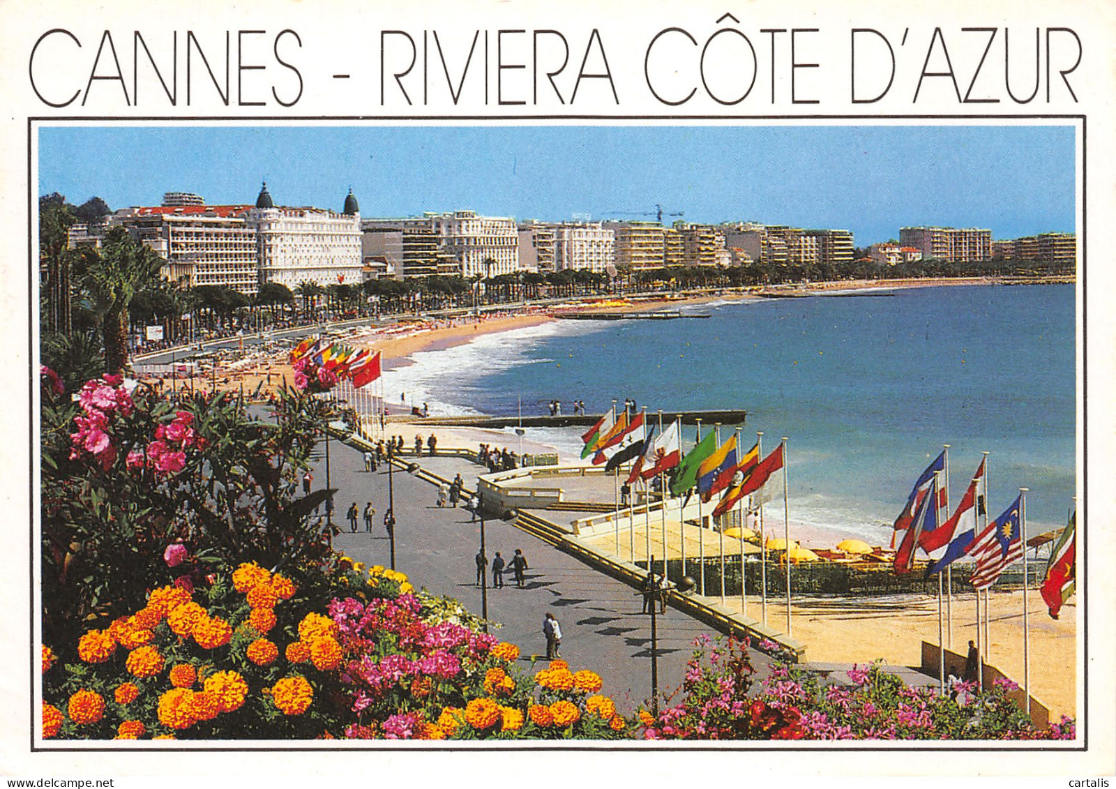 06-CANNES-N°3828-C/0135 - Cannes