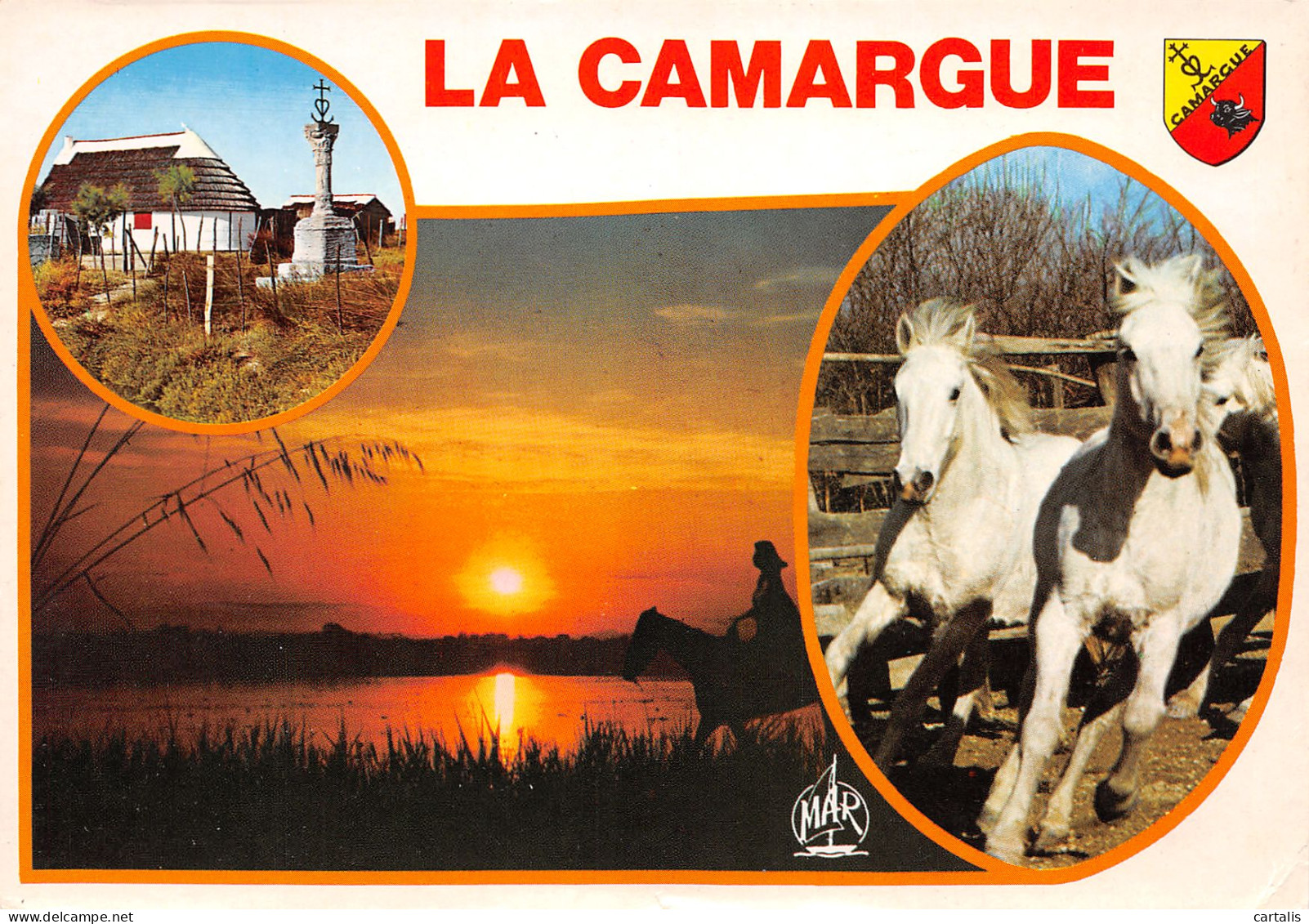 13-LA CAMARGUE-N°3828-C/0111 - Other & Unclassified