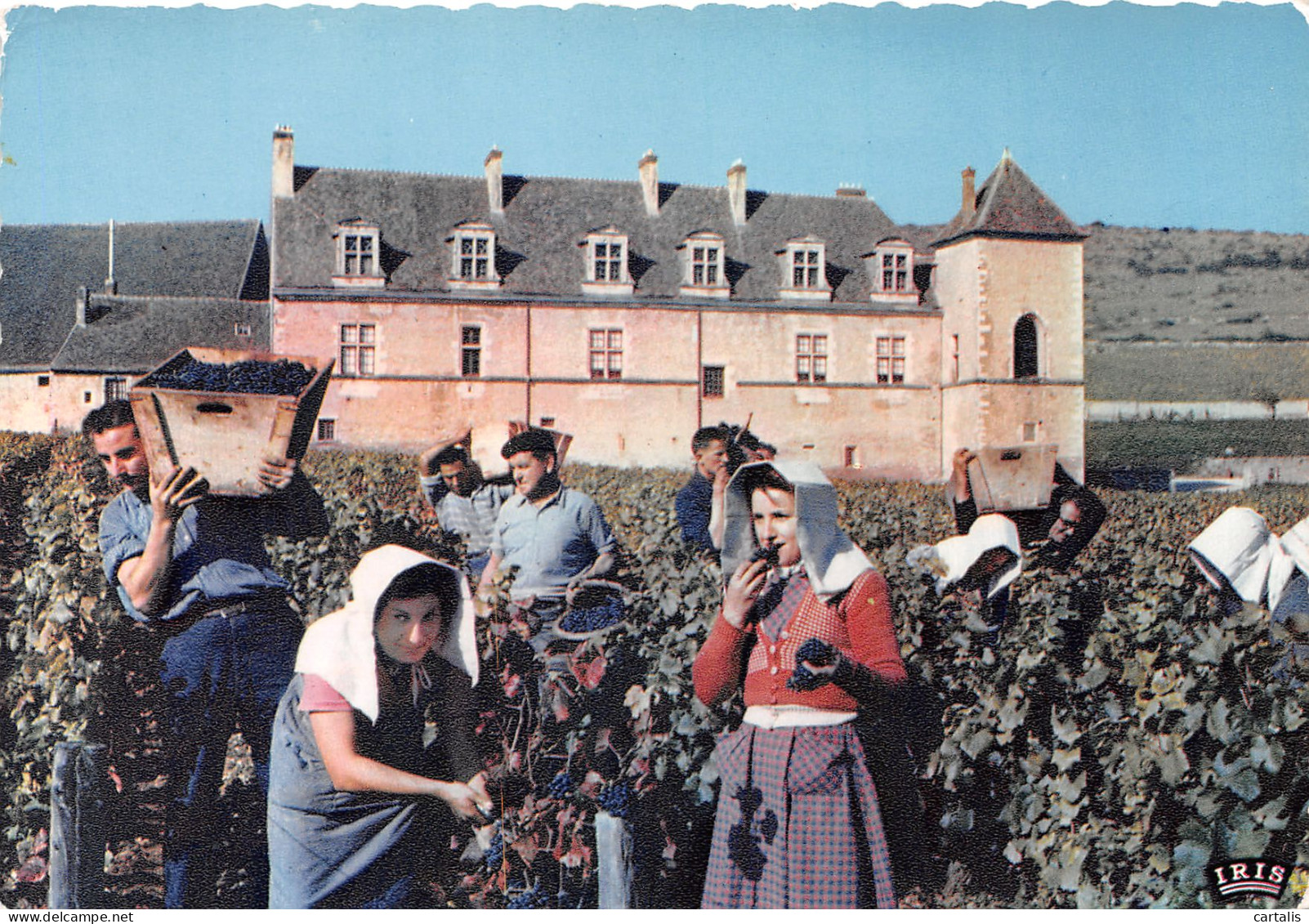 21-CLOS DE VOUGEOT-N°3828-A/0315 - Other & Unclassified