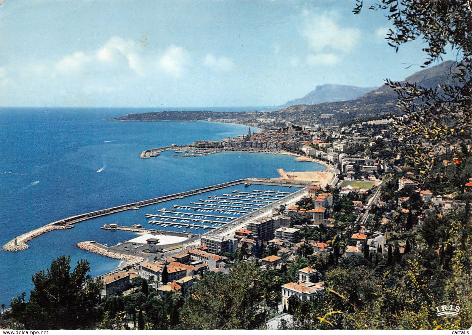 06-MENTON-N°3829-A/0295 - Menton