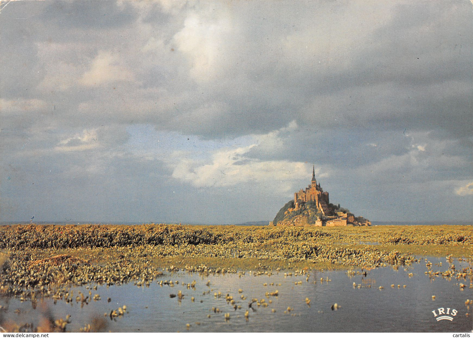 50-LE MONT SAINT MICHEL-N°3829-A/0043 - Le Mont Saint Michel