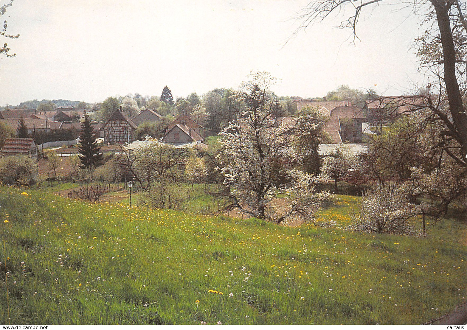 68-SUNDGAU-N°3829-A/0021 - Sonstige & Ohne Zuordnung