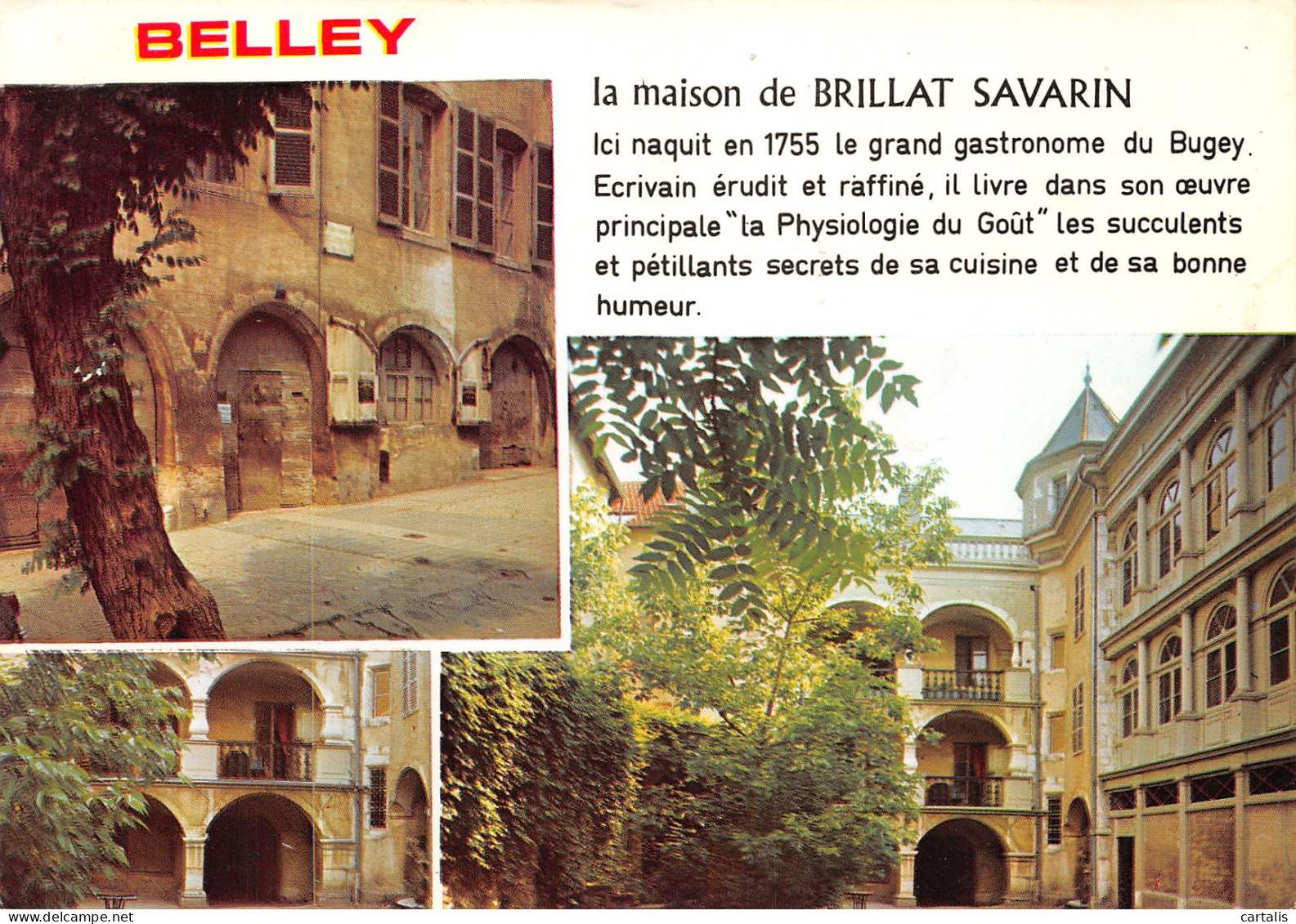 01-BELLEY-N°3828-D/0397 - Belley