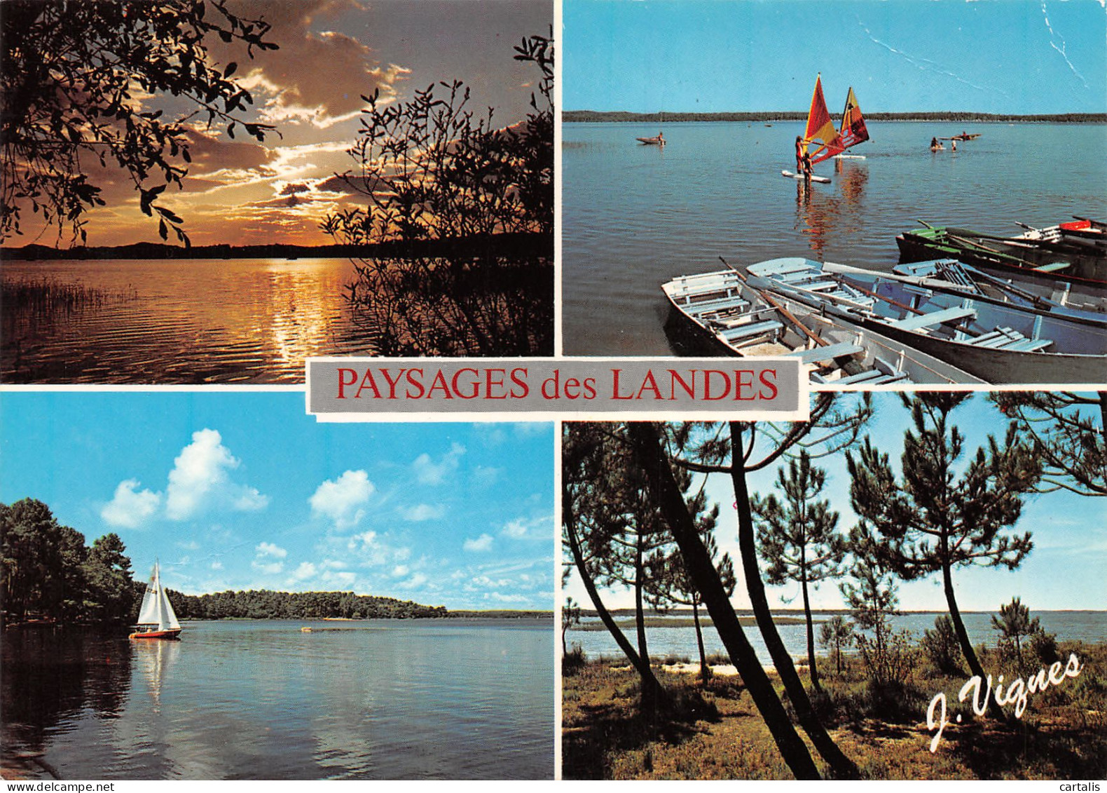 40-LES LANDES PAYSAGES-N°3828-D/0209 - Other & Unclassified