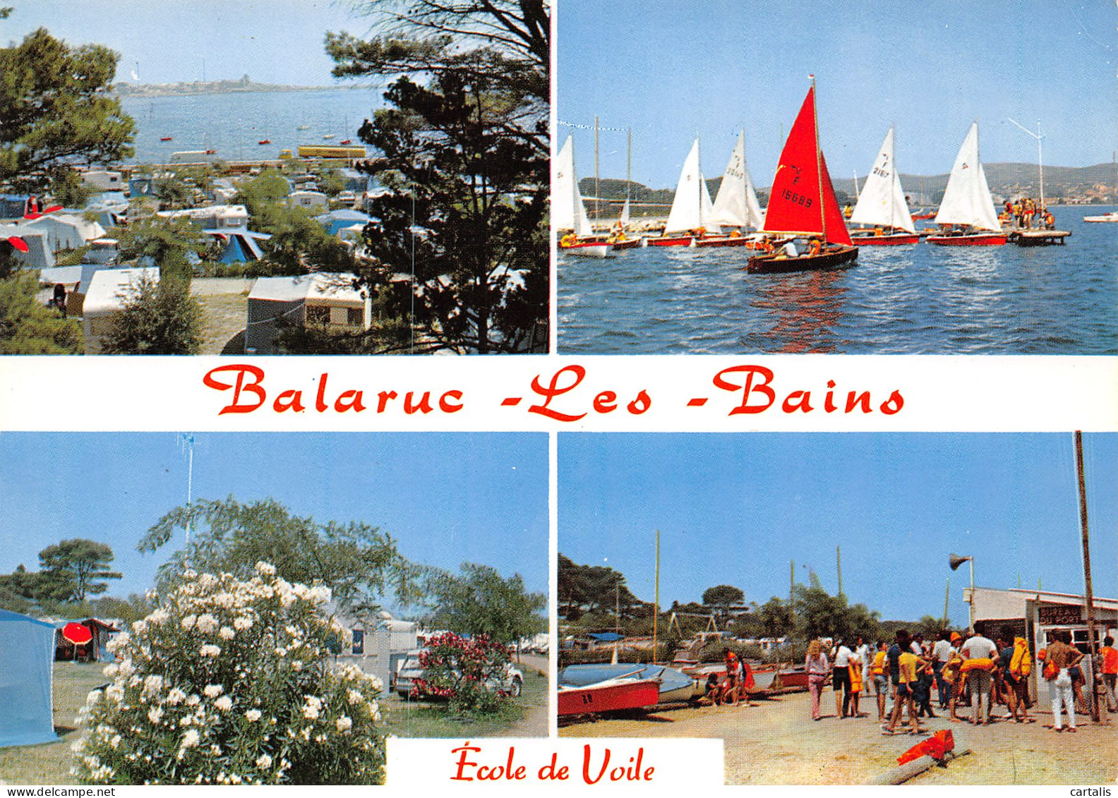 34-BALARUC LES BAINS-N°3829-D/0011 - Other & Unclassified
