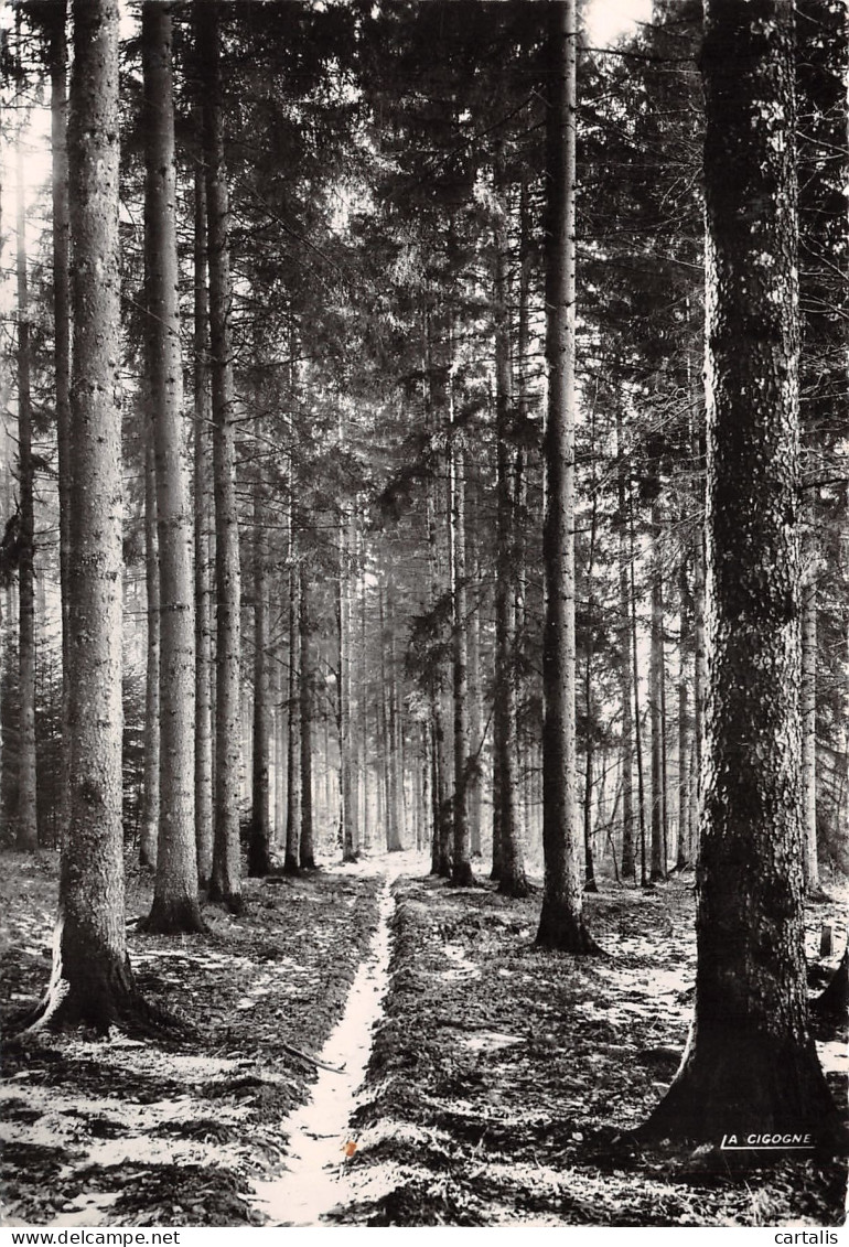 88-LES VOSGES PAYSAGE-N°3829-B/0143 - Sonstige & Ohne Zuordnung