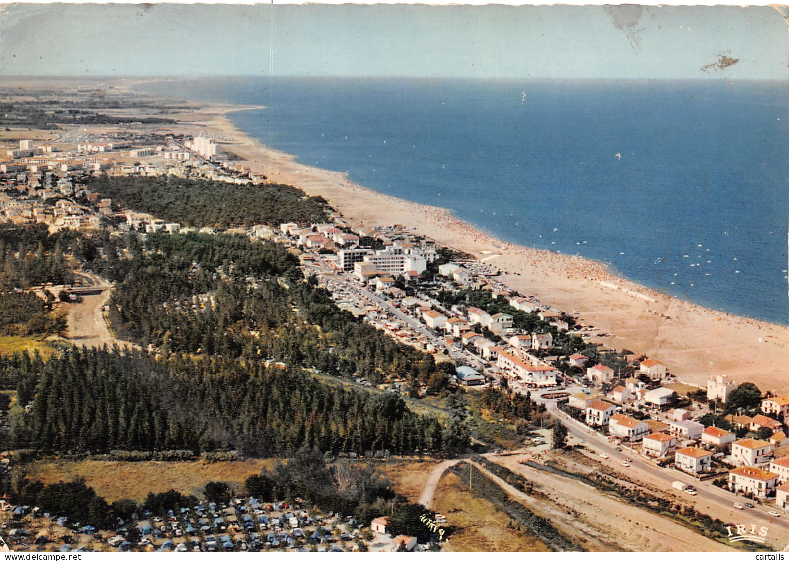 66-ARGELES SUR MER-N°3829-B/0103 - Argeles Sur Mer