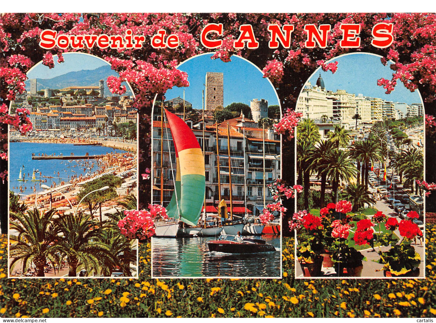 06-CANNES-N°3829-A/0369 - Cannes