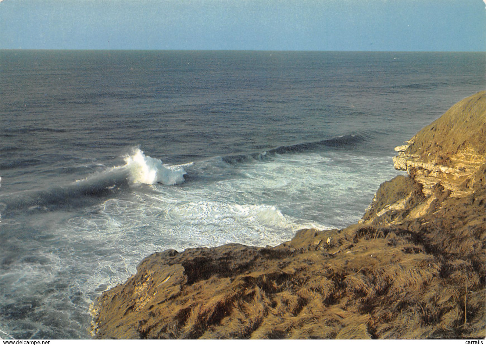 64-LA COTE BASQUE FALAISES ESCARPEES-N°3830-A/0029 - Autres & Non Classés