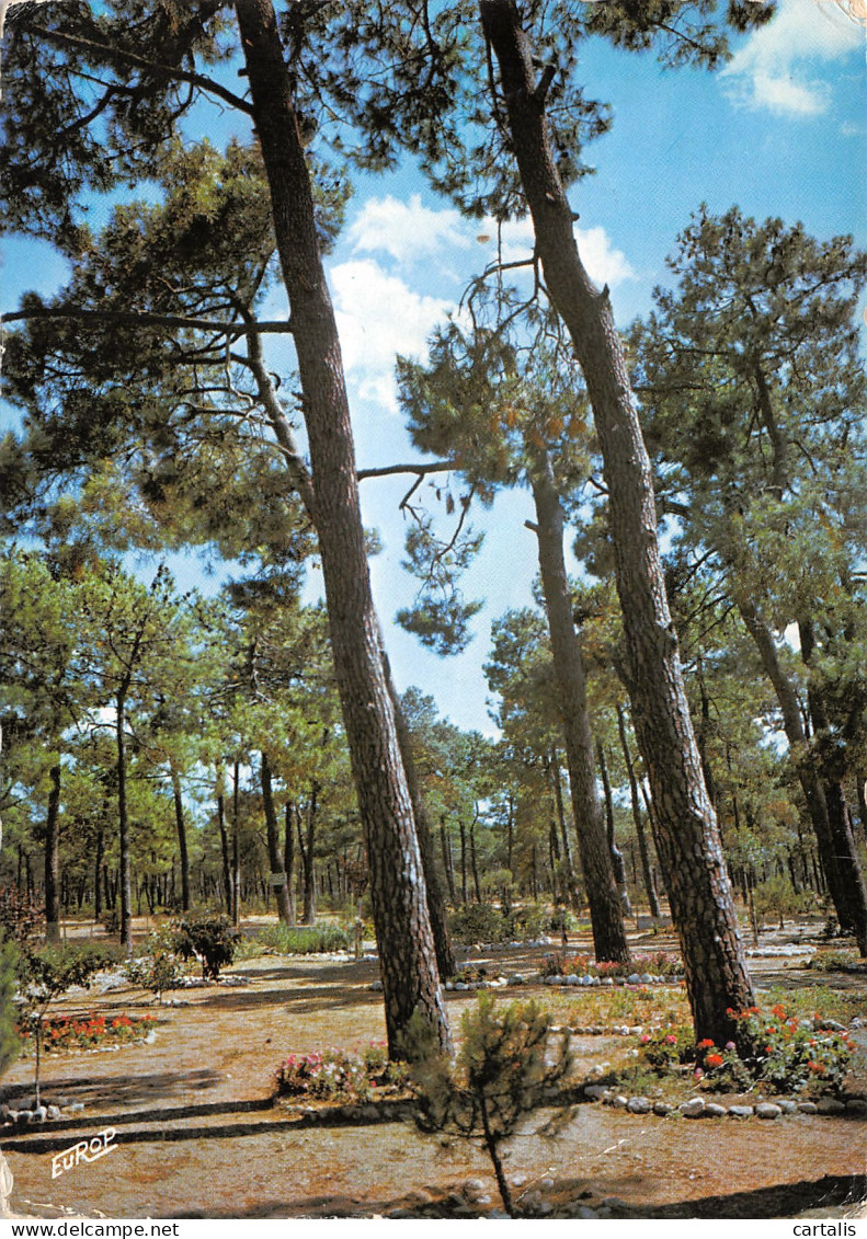 66-ARGELES SUR MER-N°3830-A/0013 - Argeles Sur Mer