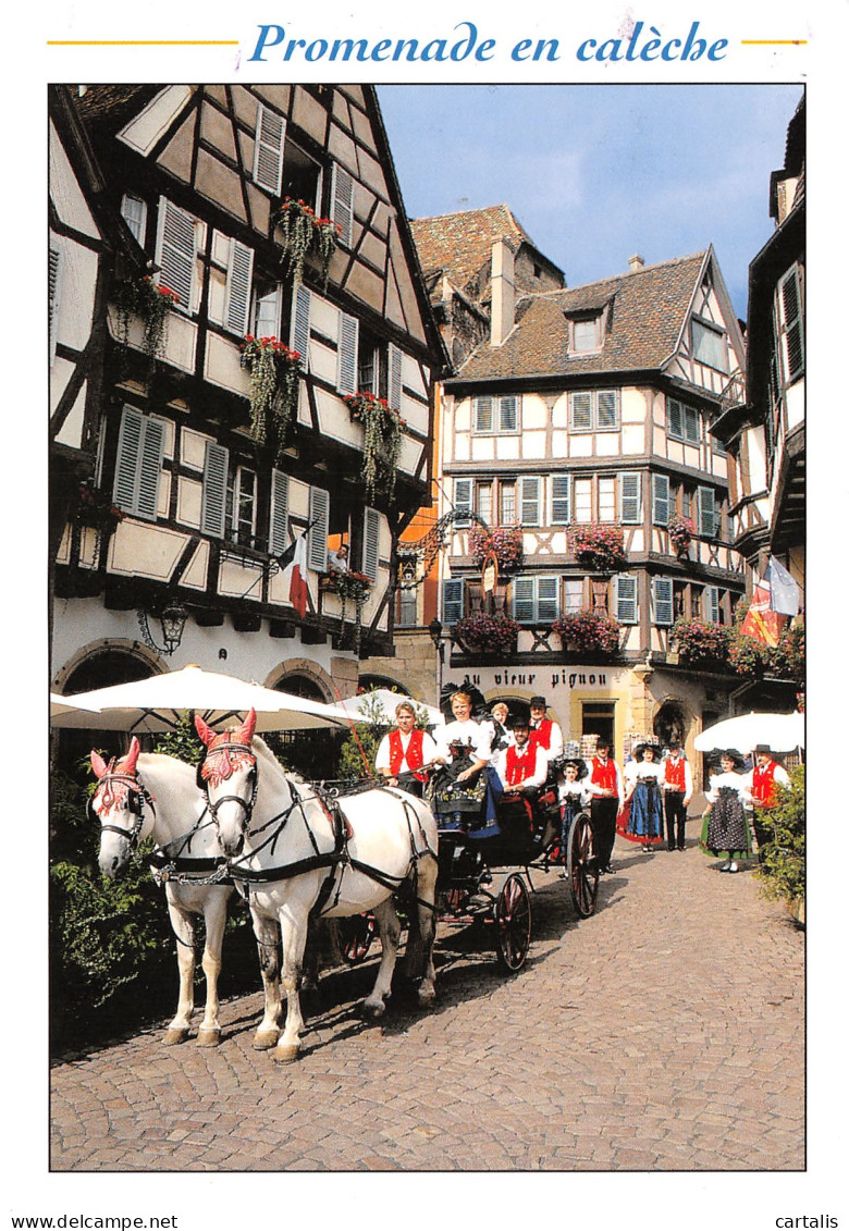 68-COLMAR-N°3829-D/0213 - Colmar