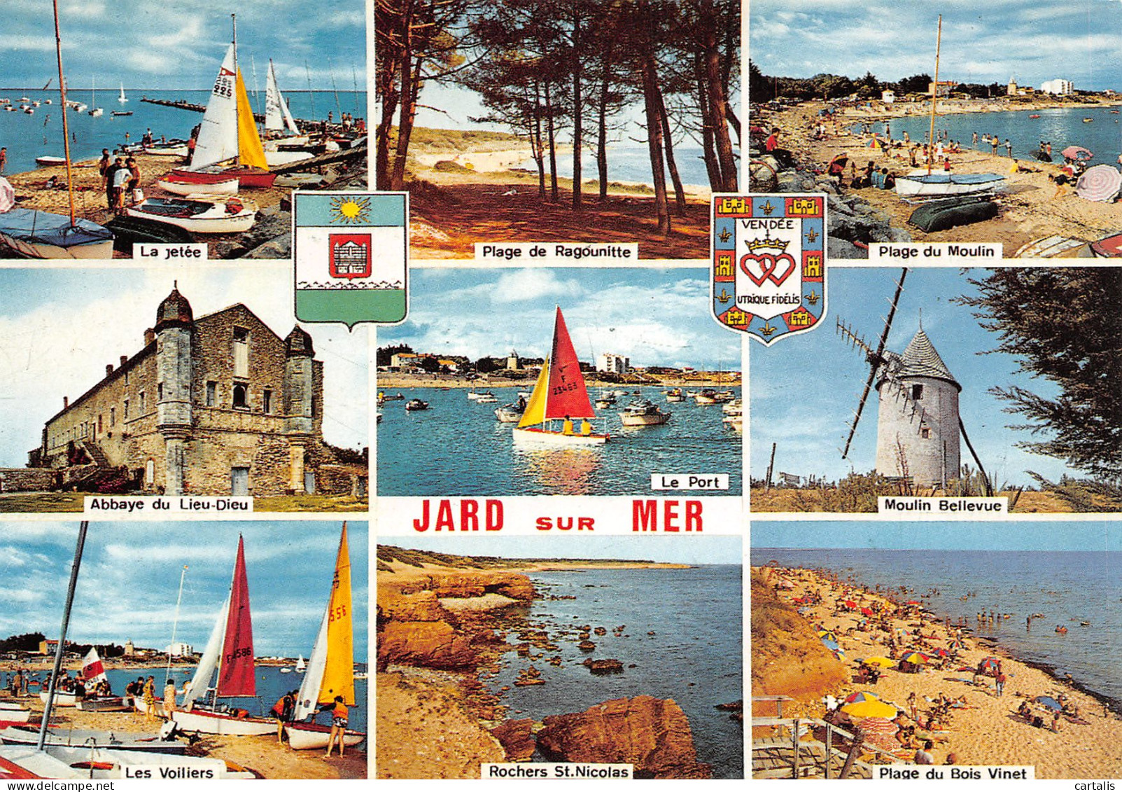 85-JARD SUR MER-N°3830-D/0137 - Other & Unclassified