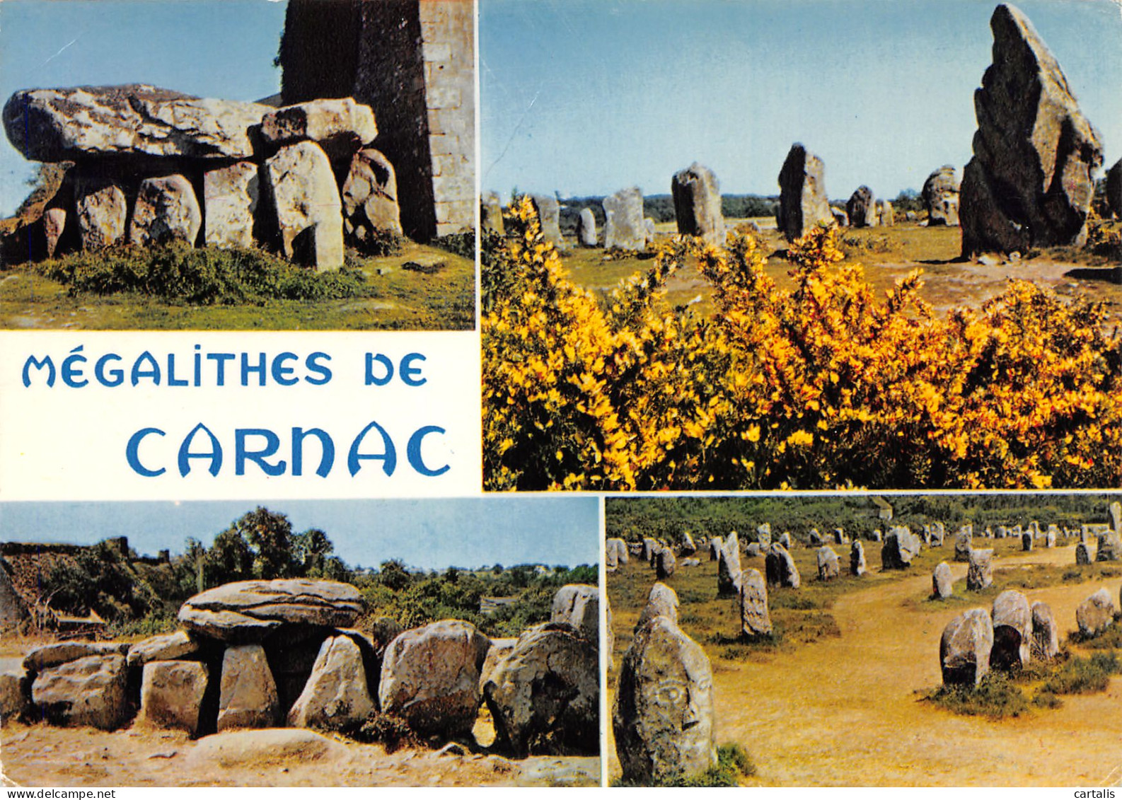 56-CARNAC-N°3830-C/0359 - Carnac